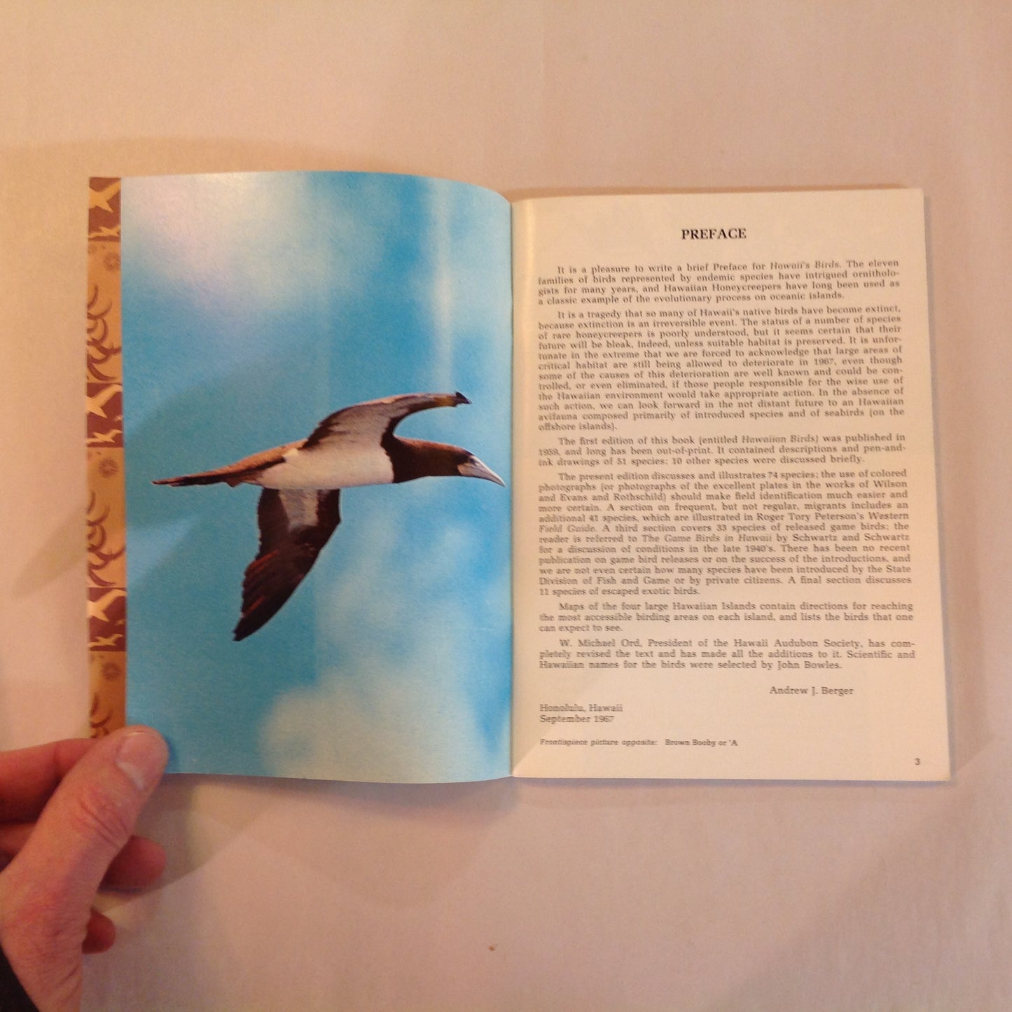 Vintage 1967 Paperback Hawaii's Birds: All in Natural Color Hawaii Audubon Society