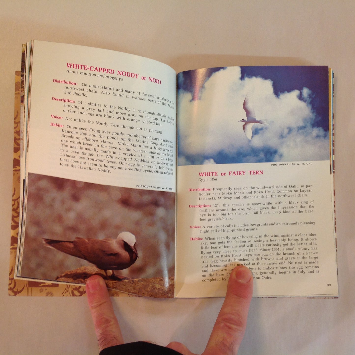 Vintage 1967 Paperback Hawaii's Birds: All in Natural Color Hawaii Audubon Society
