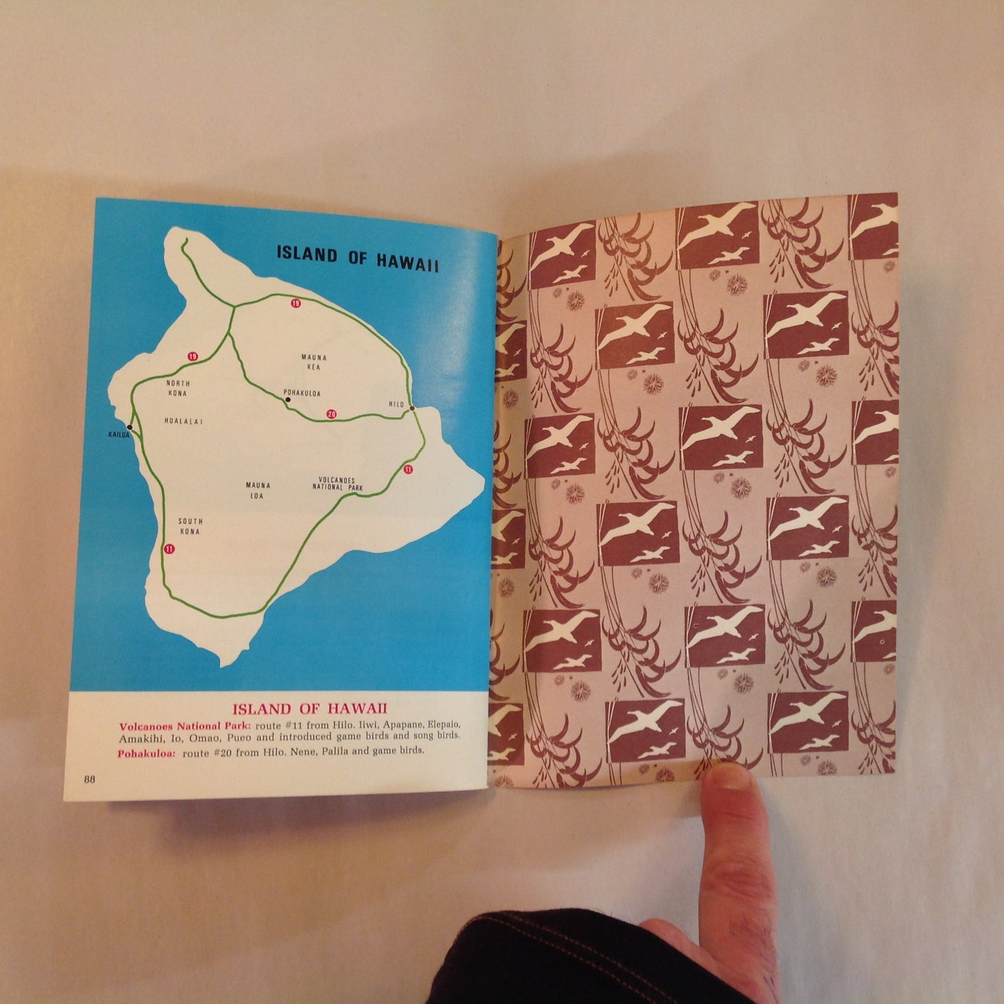 Vintage 1967 Paperback Hawaii's Birds: All in Natural Color Hawaii Audubon Society