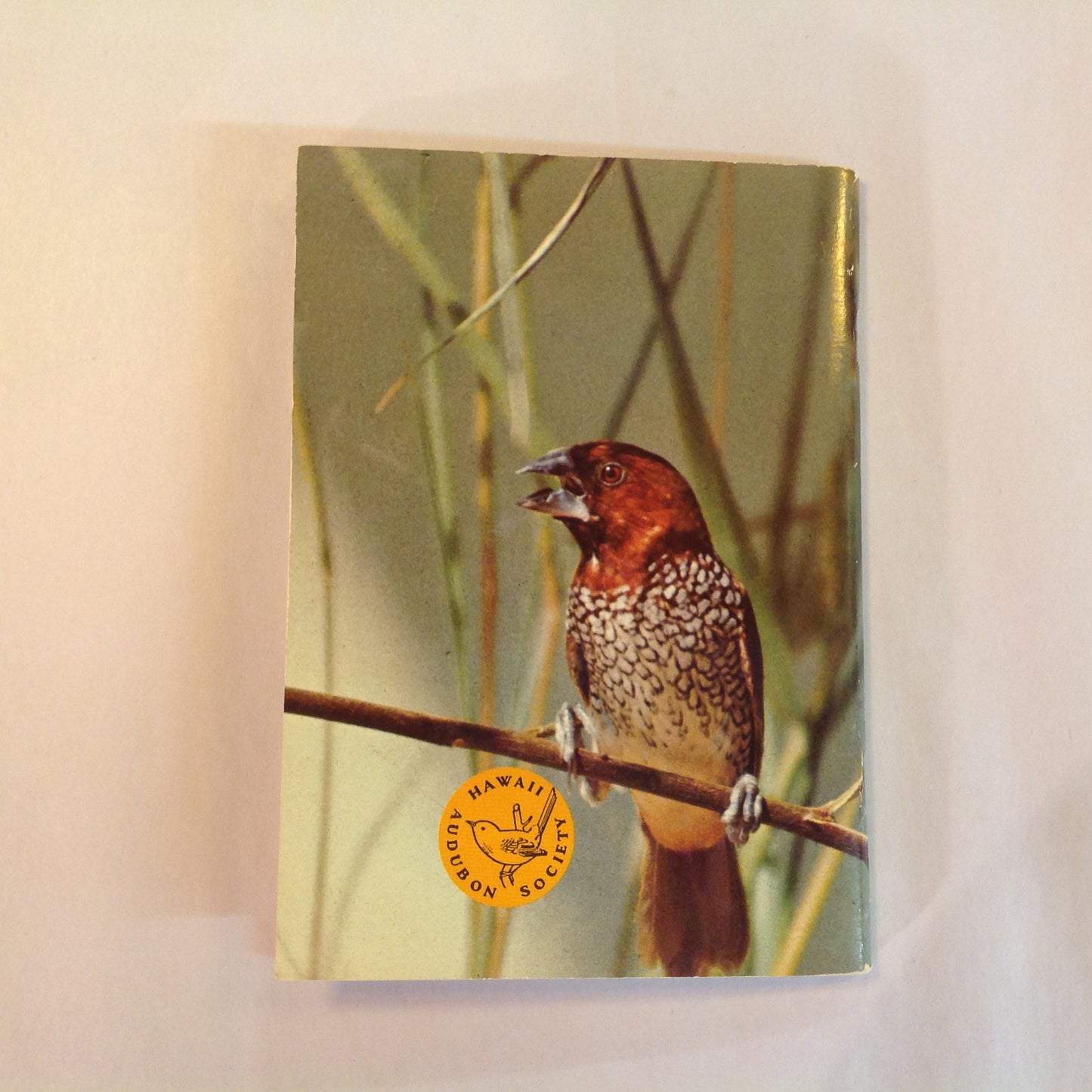 Vintage 1967 Paperback Hawaii's Birds: All in Natural Color Hawaii Audubon Society