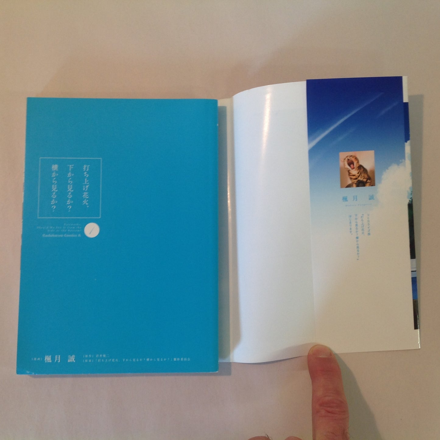 2017 Trade Paperback Fireworks: Should We See It From the Side or Bottom? Japanese Language Edition Kadokawa A