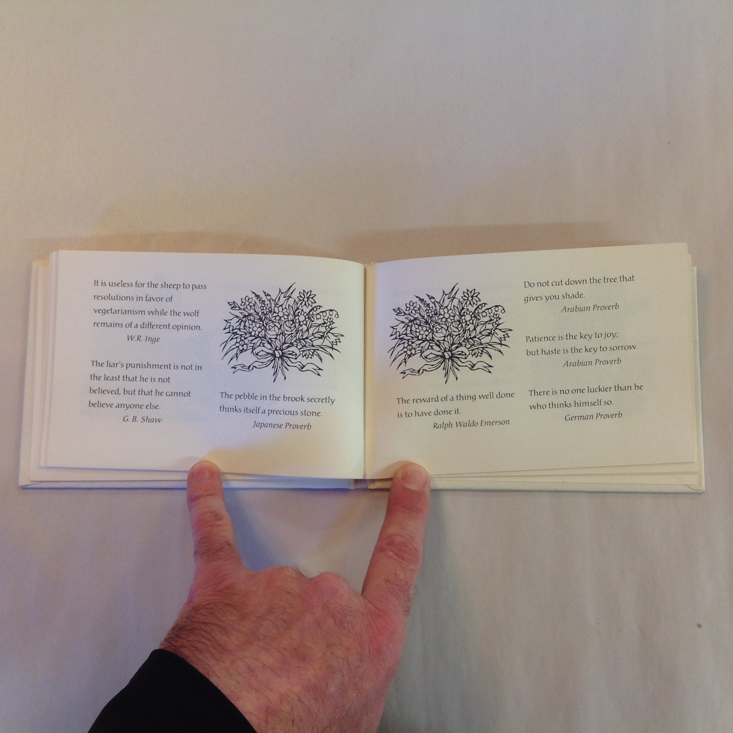 Vintage 1975 Hardcover Gift Book Proverbs to Live By: Timeless Words of Wit and Wisdom Gail Peterson Hallmark