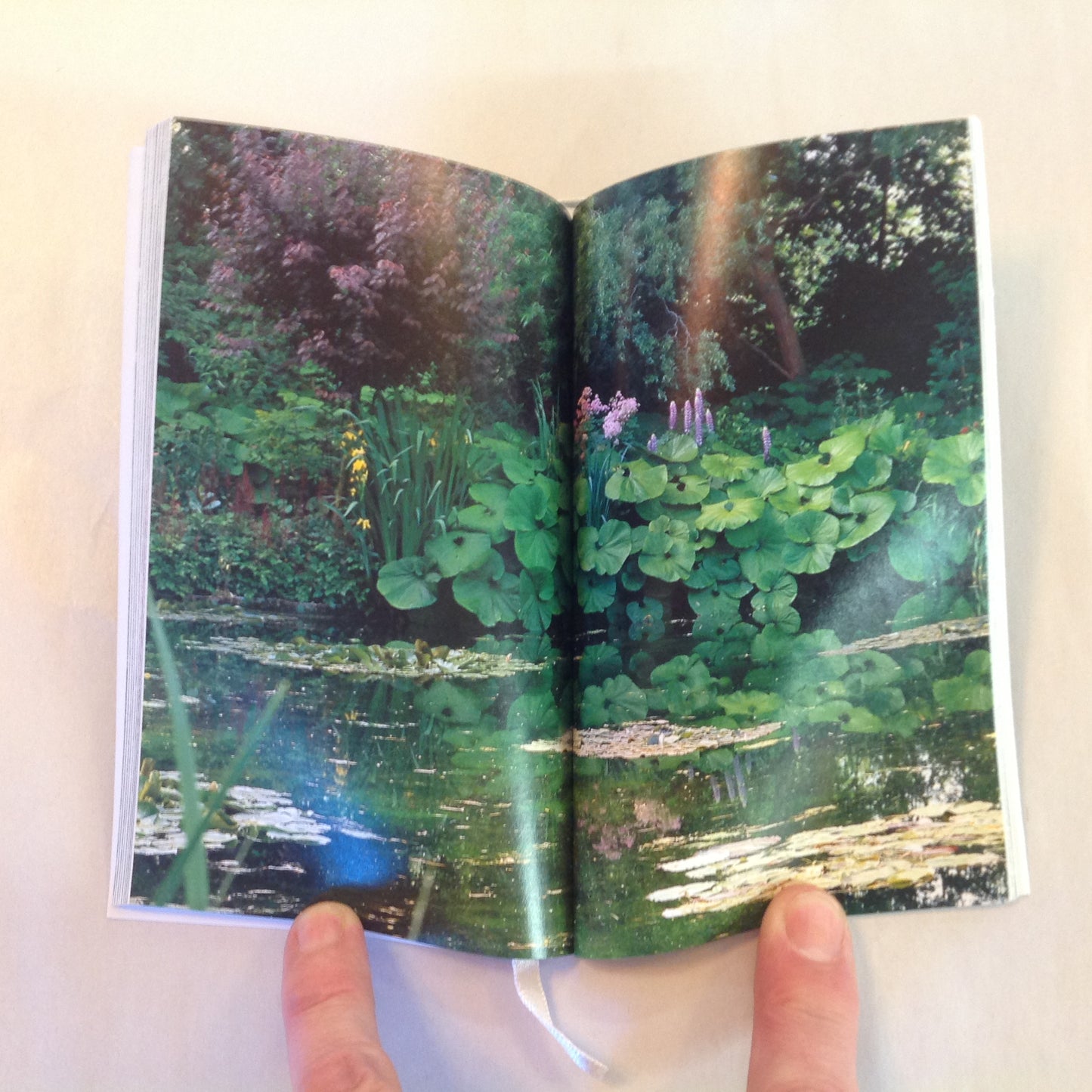 Vintage 1998 Paperback Monet's Gardens Pocket Calendar Elizabeth Murray Photographs Pomegranate Press