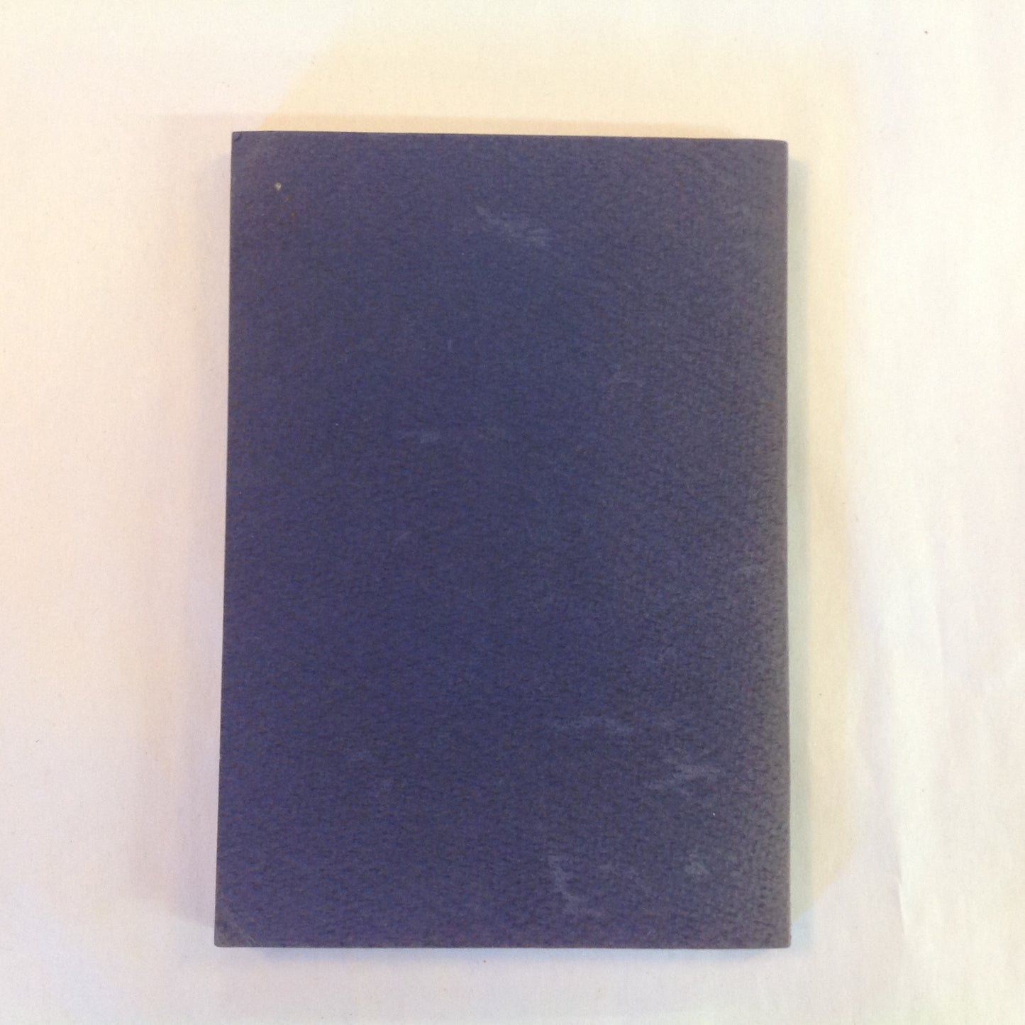 Vintage 1935 Paperback The House of God Reverend R. Pierce Beaver Eden House