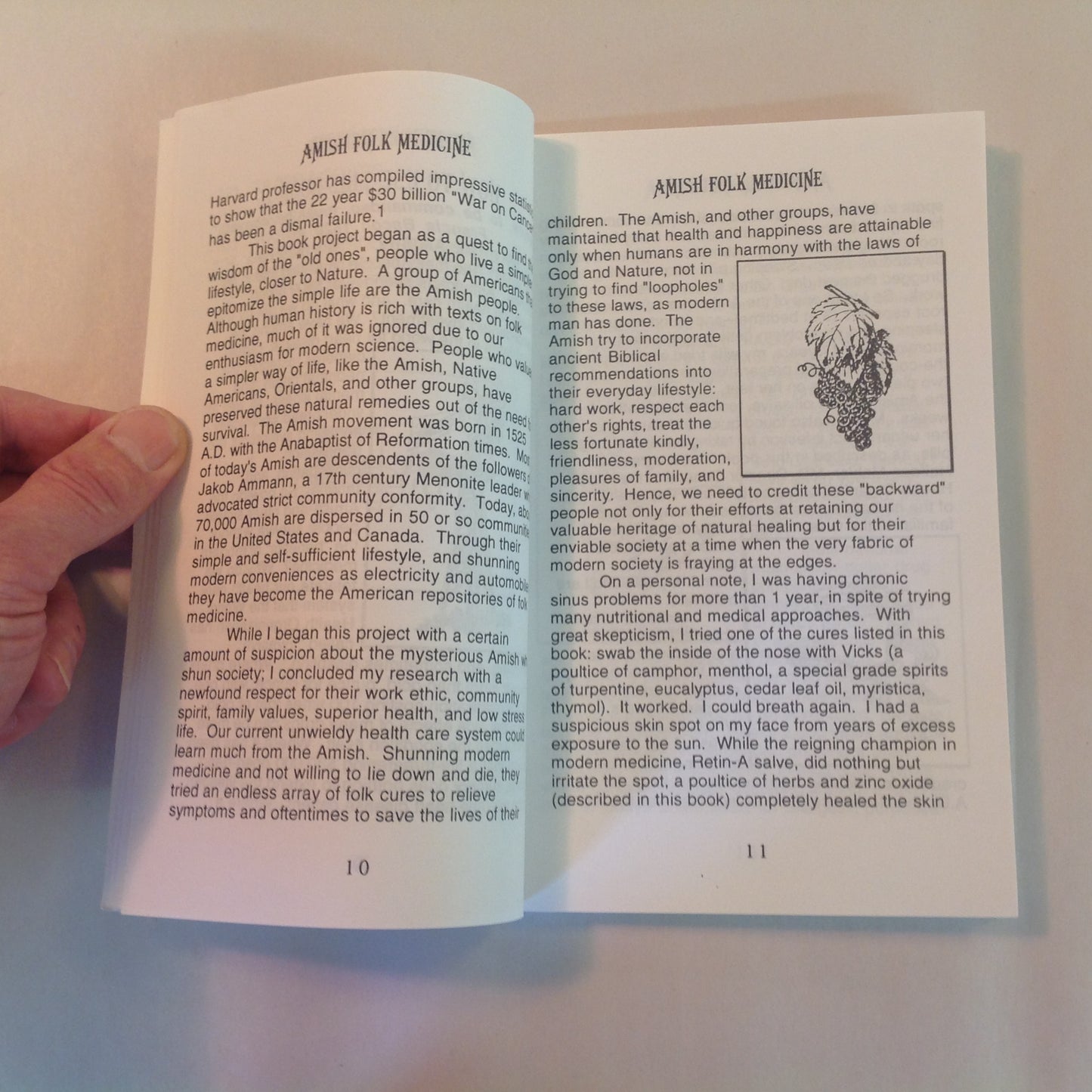 Vintage 1993 Trade Paperback The Wisdom of Amish Folk Medicine Patrick Quillin