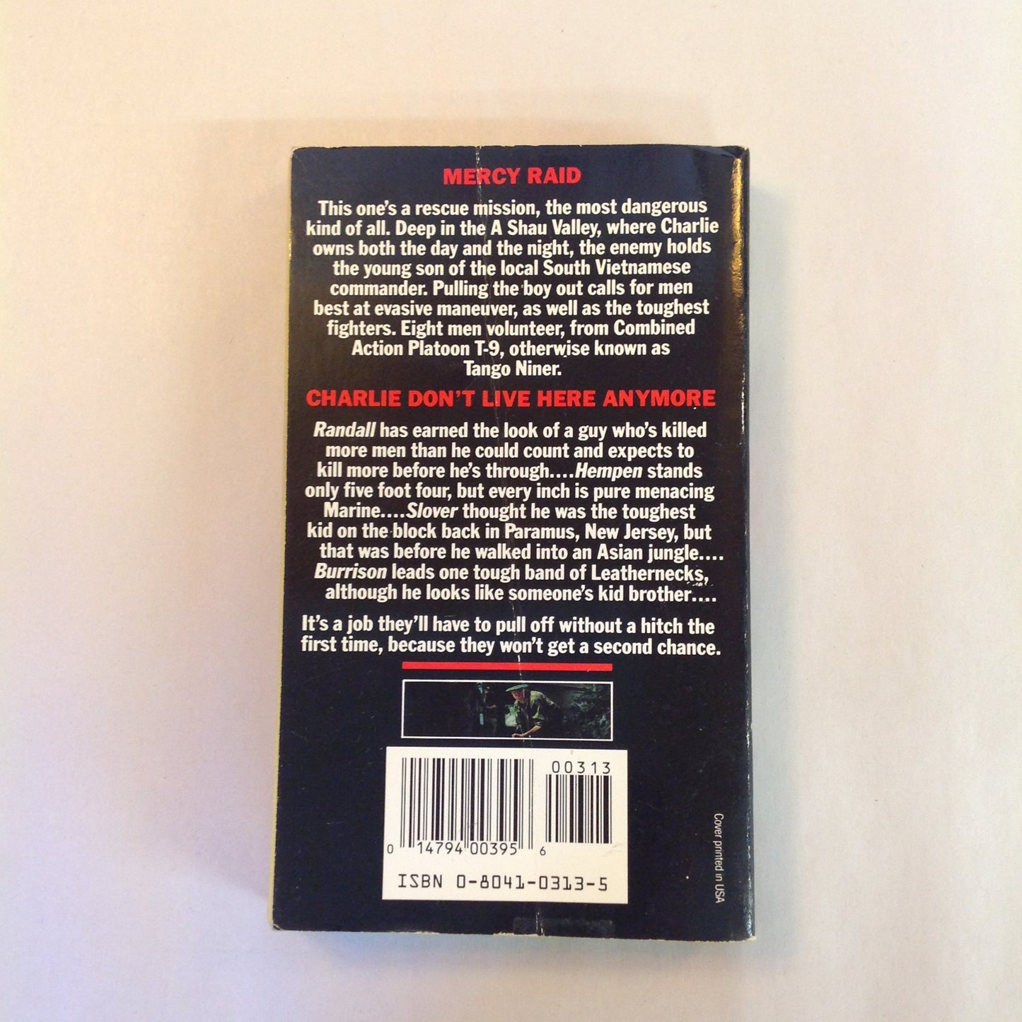 Vintage 1989 Mass Market Paperback Charlie Don't Live Here Anymore David Sherman