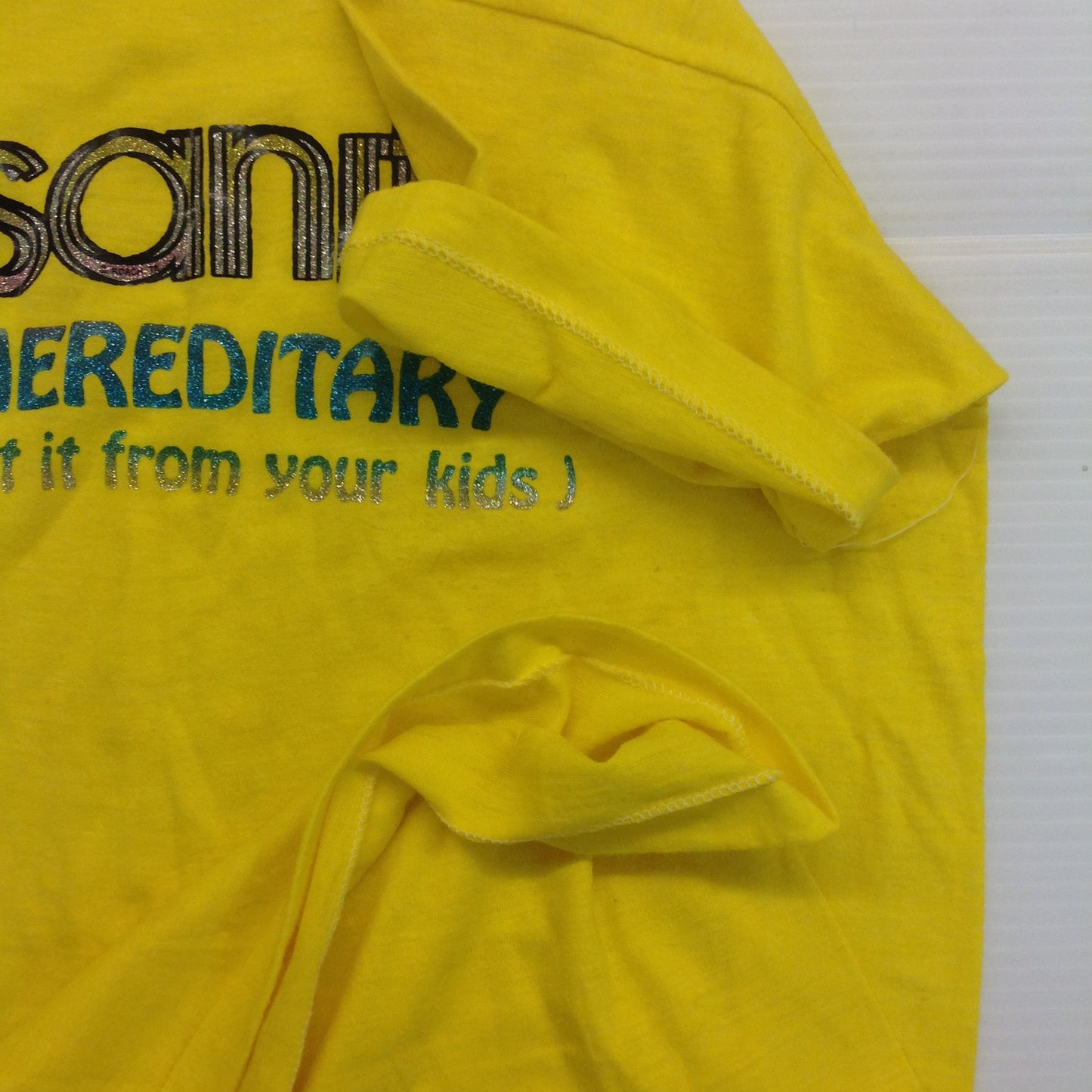 Vintage 1978 Medium Single-Stitch Roach Iron-On T-Shirt Insanity is Hereditary (You Get It from Your Kids)