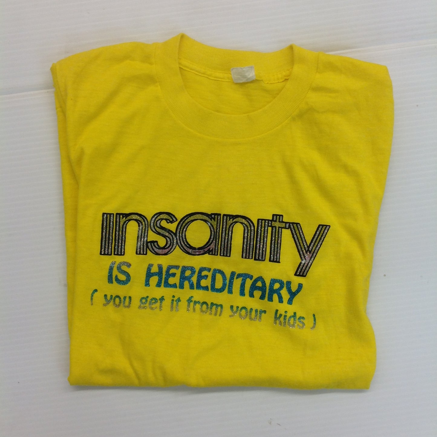 Vintage 1978 Medium Single-Stitch Roach Iron-On T-Shirt Insanity is Hereditary (You Get It from Your Kids)