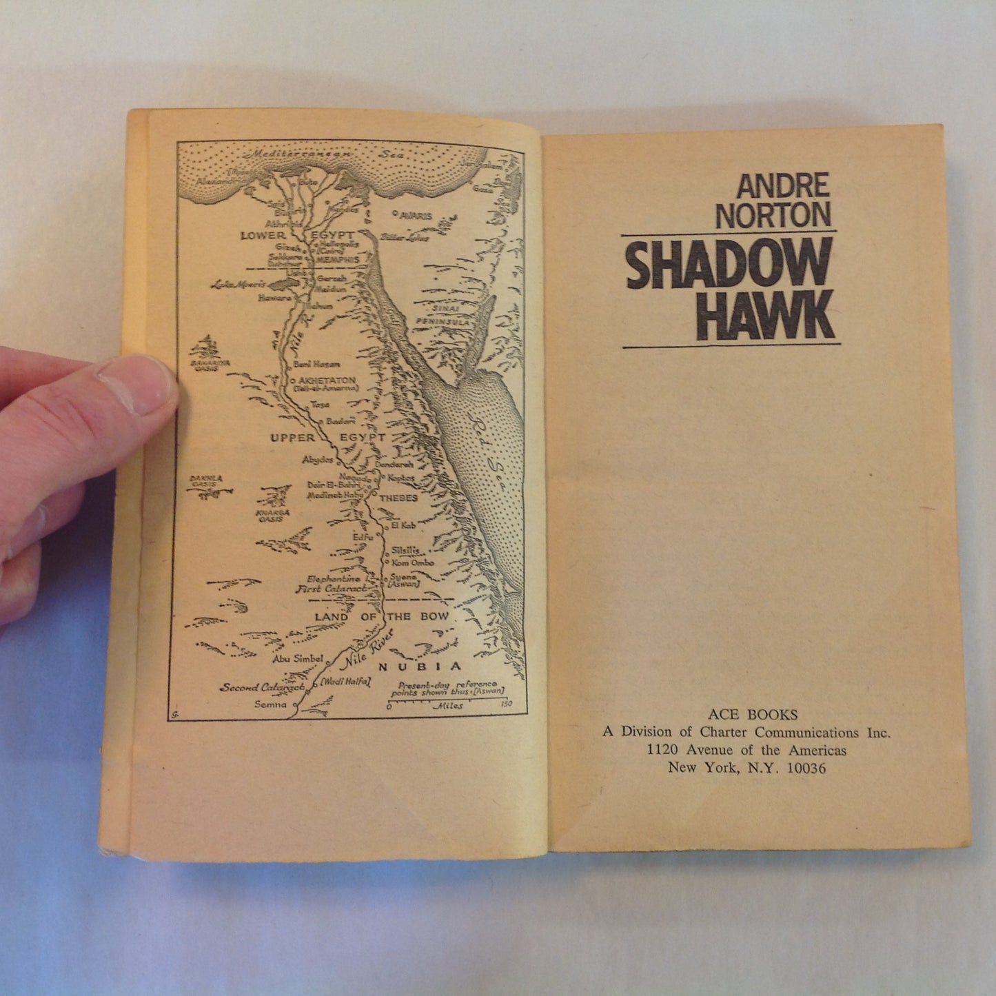Vintage 1960 Mass Market Paperback Shadow Hawk Andre Norton ACE Books