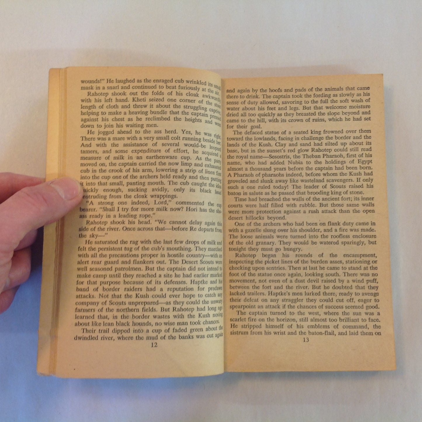 Vintage 1960 Mass Market Paperback Shadow Hawk Andre Norton ACE Books