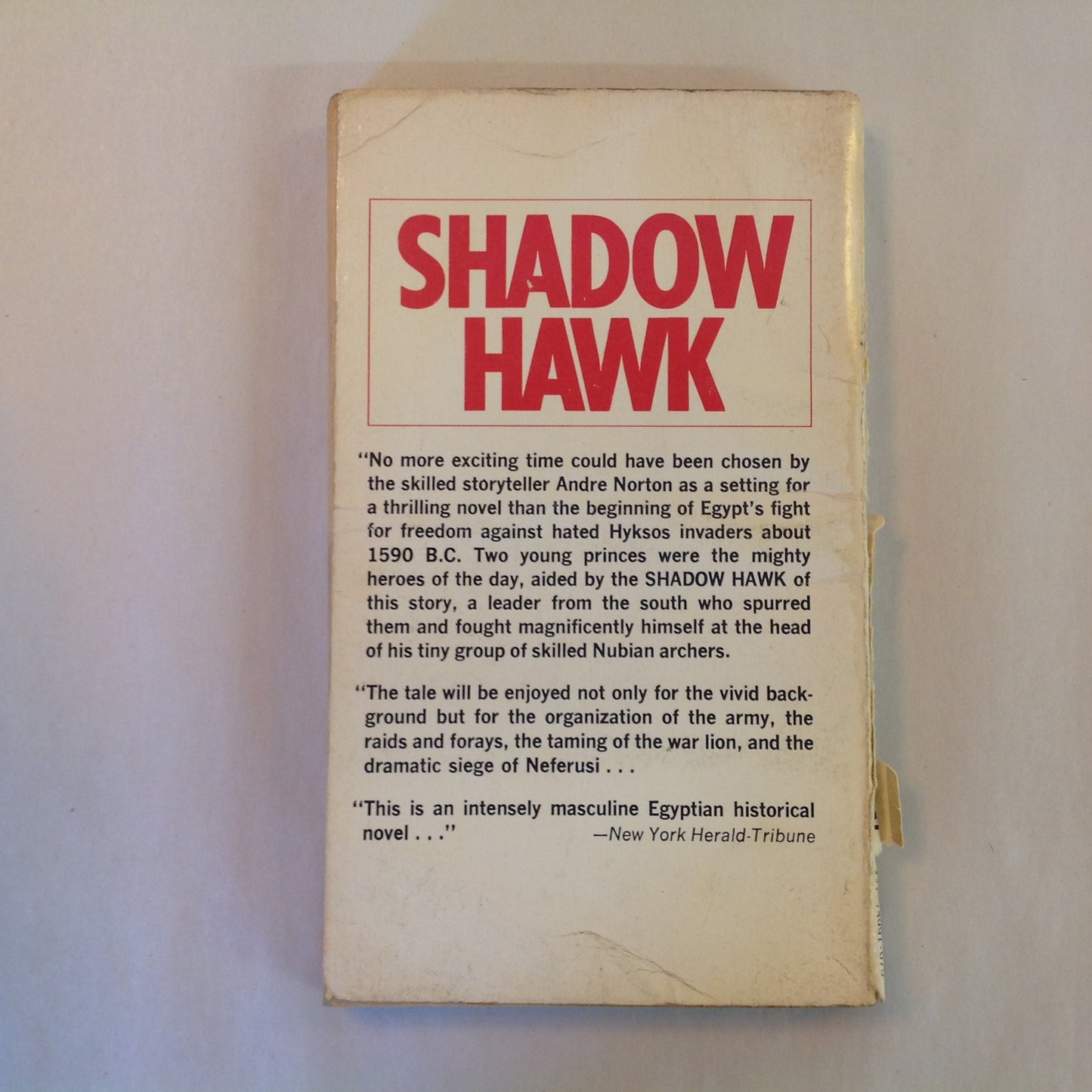 Vintage 1960 Mass Market Paperback Shadow Hawk Andre Norton ACE Books