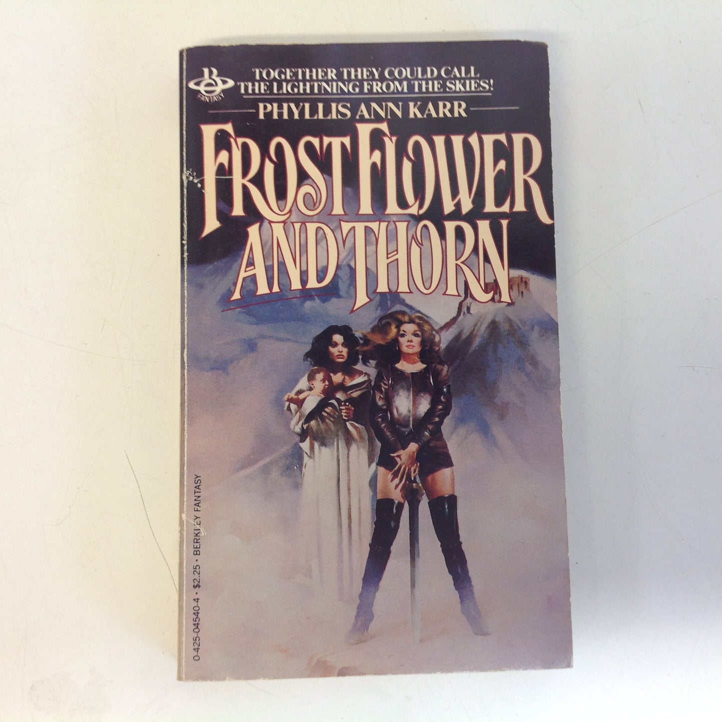 Vintage 1980 Mass Market Paperback Frostflower and Thorn Phyllis Ann Karr First Edition