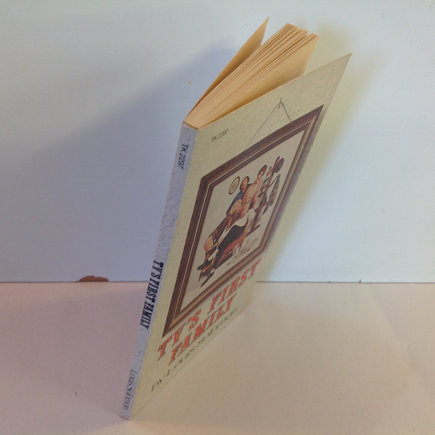 Vintage 1973 Mass Market Paperback TV's First Family Louis Solomon