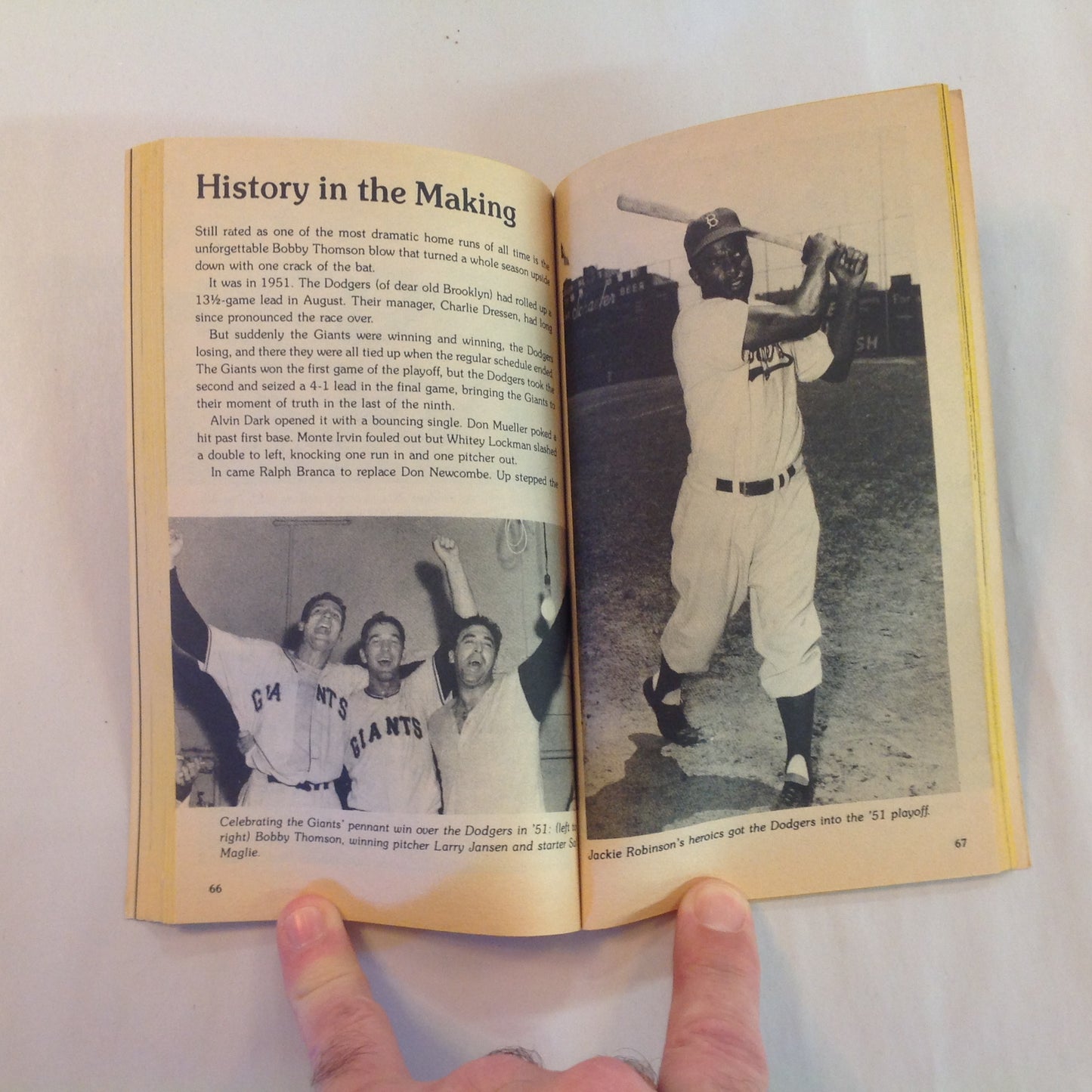 Vintage 1981 Mass Market Paperback Topps The Home Run Book Zander Hollander, Ed