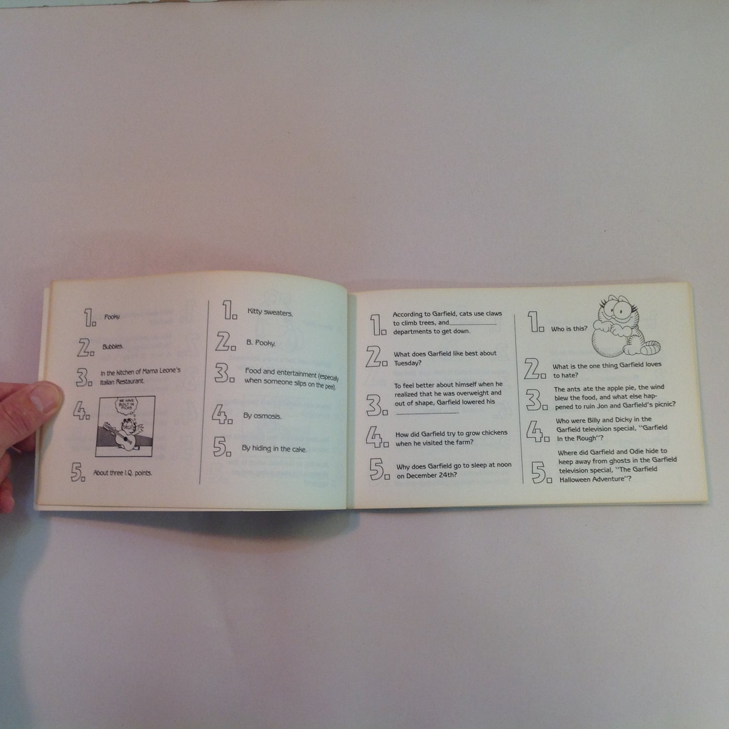 Vintage 1986 Trade Paperback The Garfield Trivia Book Jim Davis First Edition