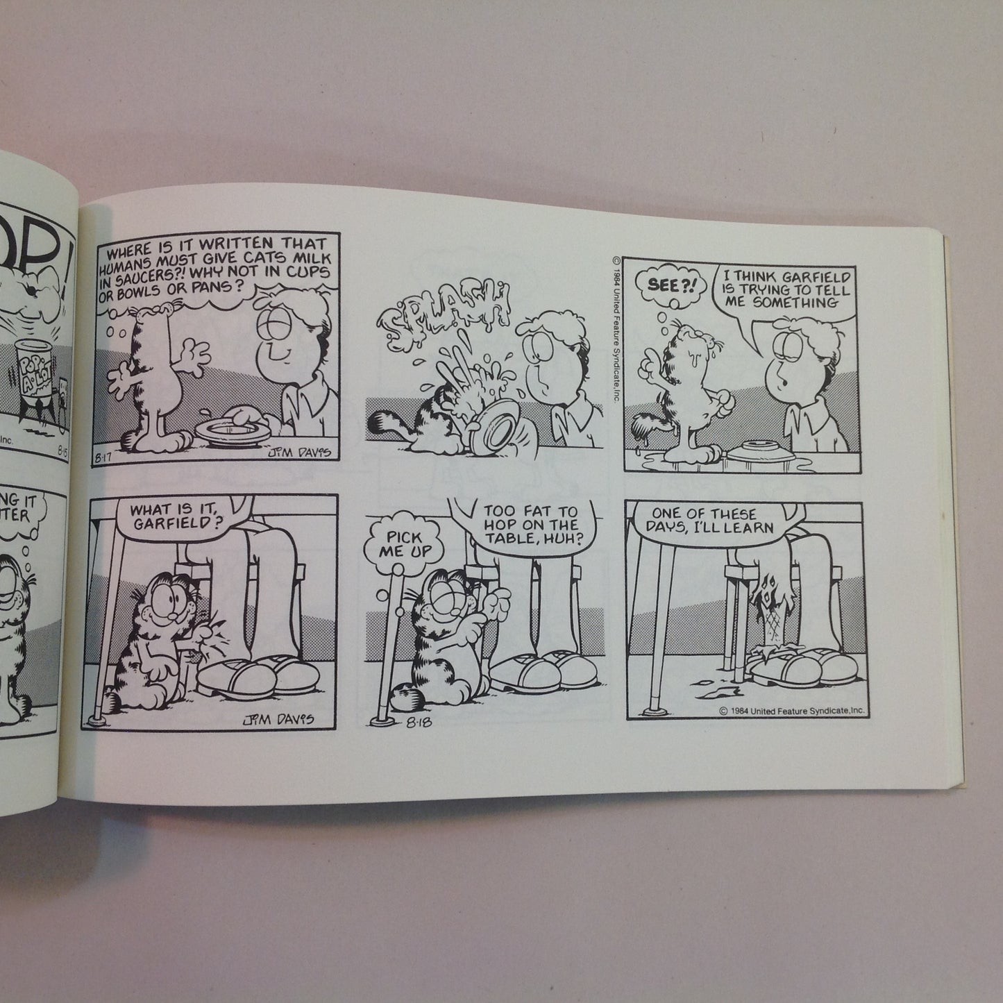 Vintage 1985 Trade Paperback Garfield Rolls On: His Eleventh Book Jim Davis First Edition