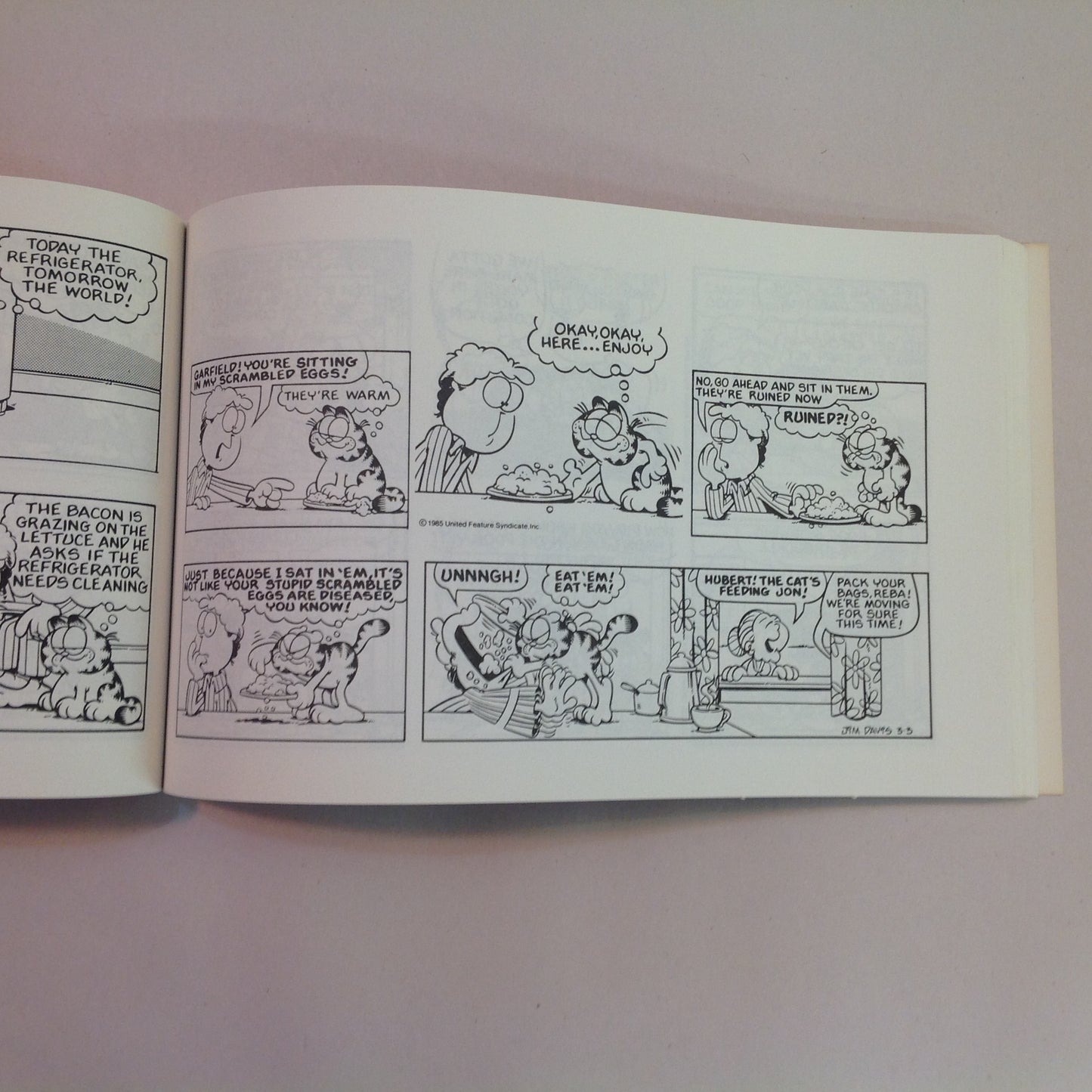 Vintage 1980 Trade Paperback Garfield Out to Lunch: His 12th Book Jim Davis First Edition