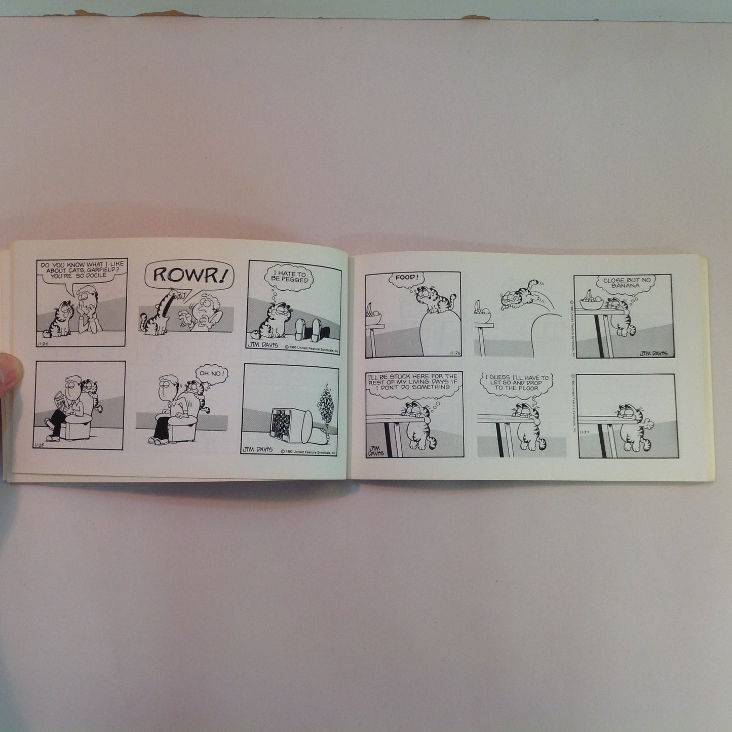 Vintage 1982 Trade Paperback Garfield Takes the Cake: His Fifth Book Jim Davis First Edition