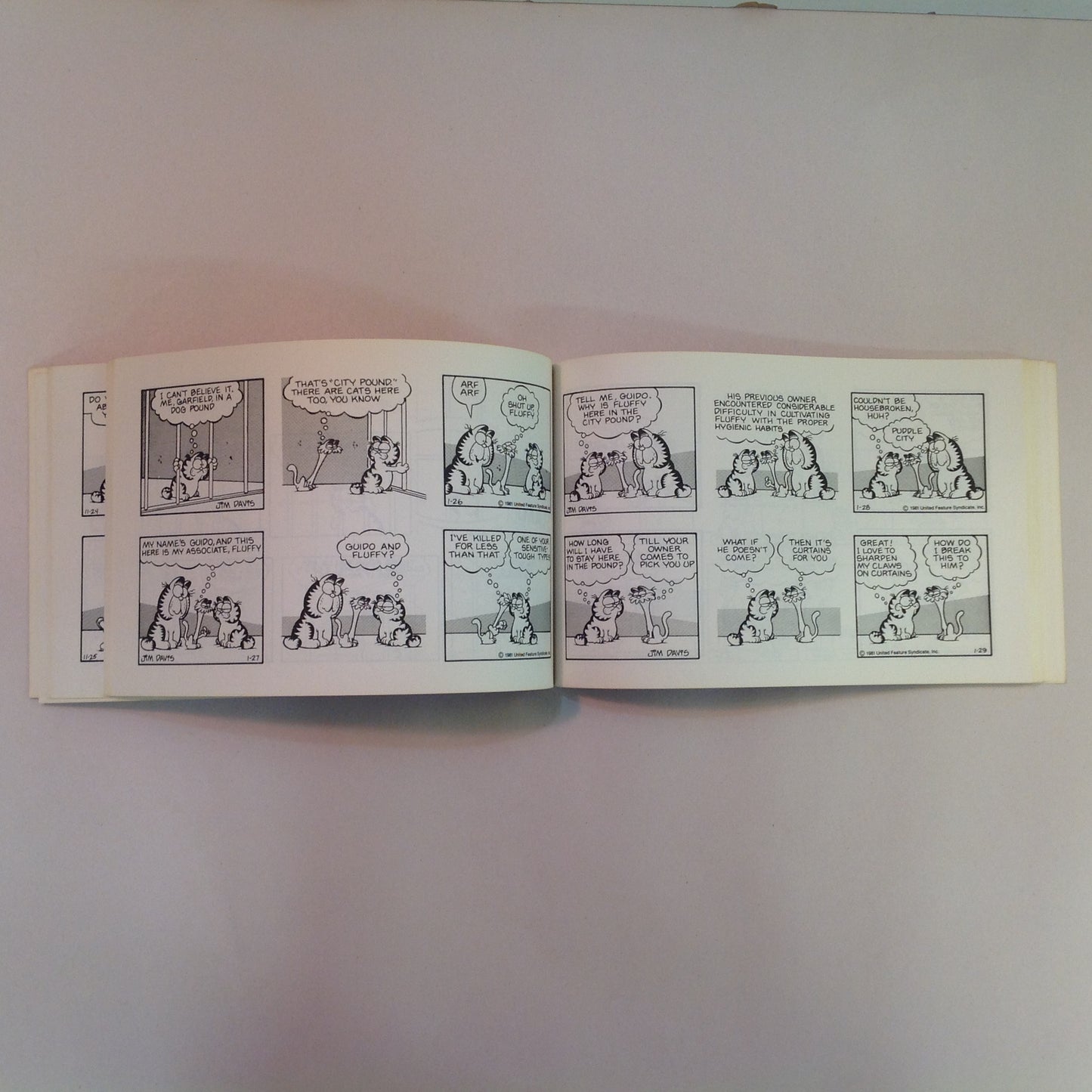 Vintage 1982 Trade Paperback Garfield Takes the Cake: His Fifth Book Jim Davis First Edition