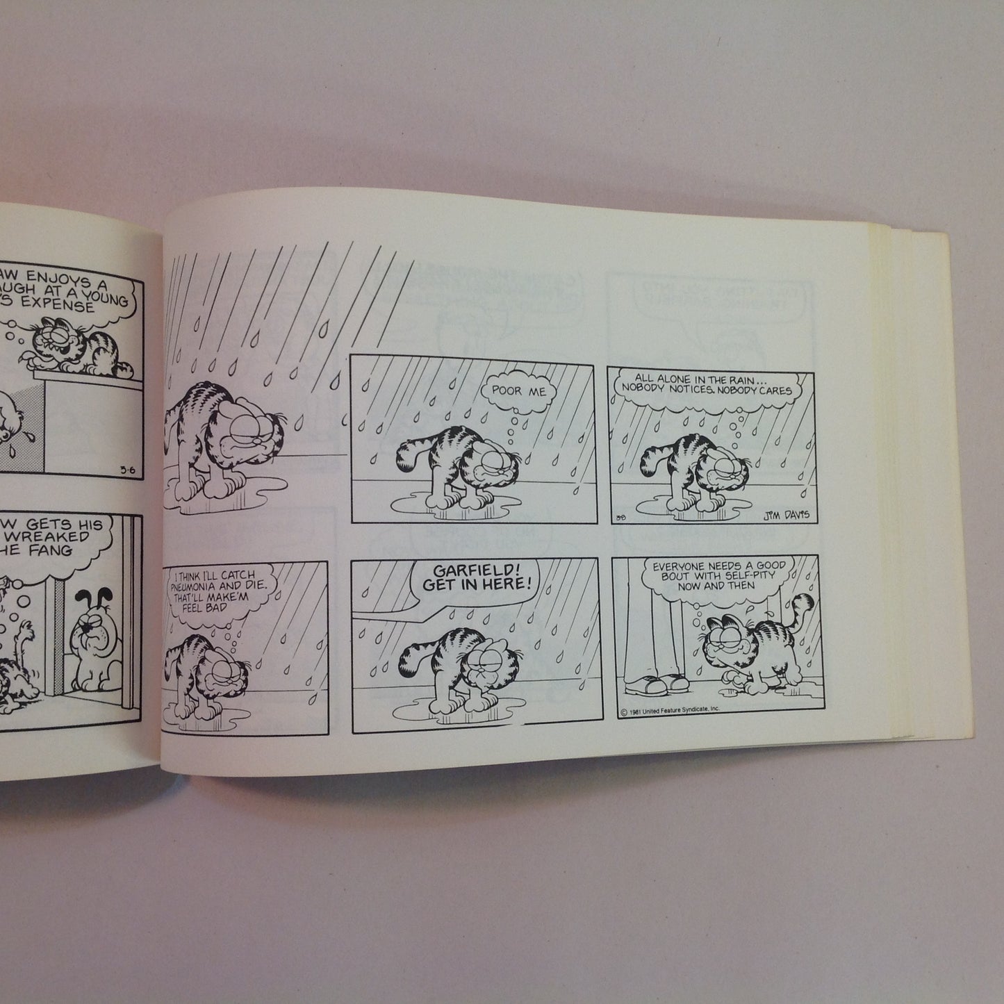 Vintage 1982 Trade Paperback Garfield Takes the Cake: His Fifth Book Jim Davis First Edition
