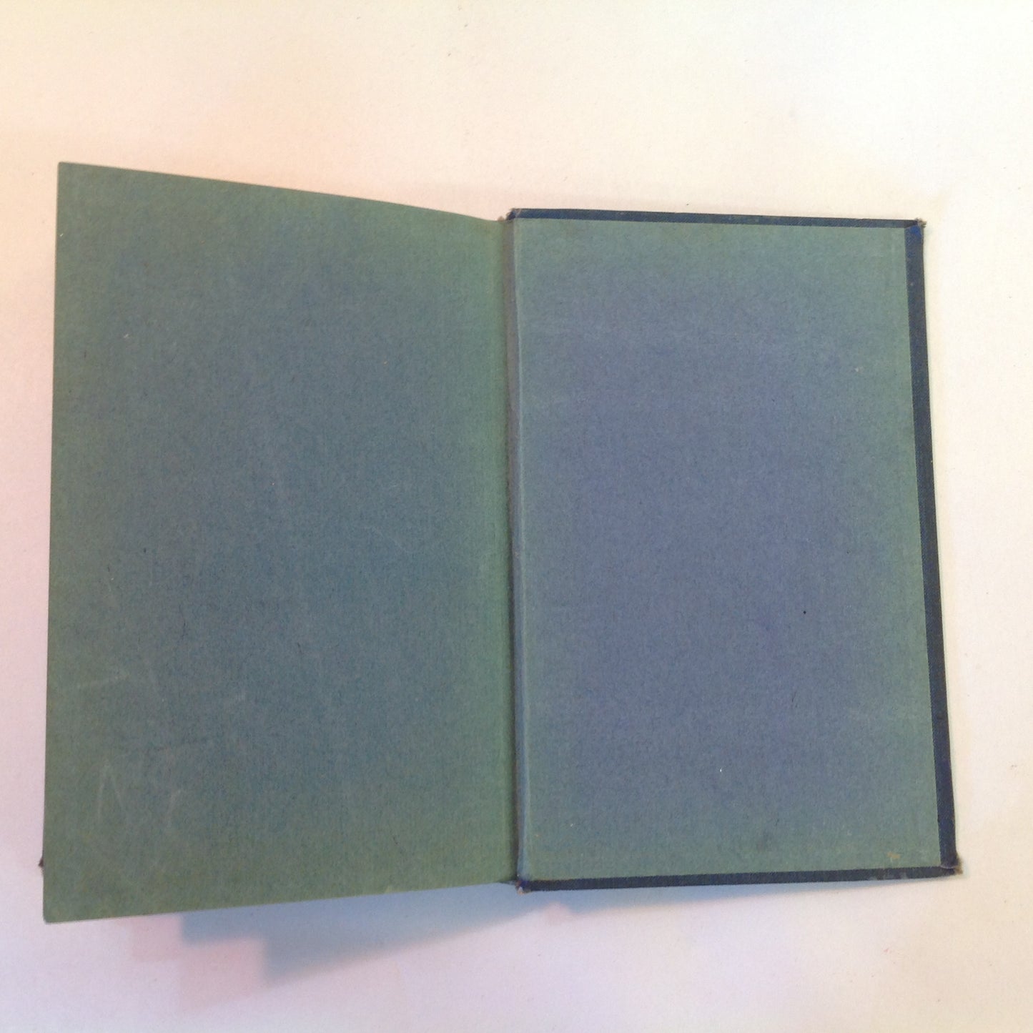 Vintage 1909 Hardcover Tagebuch Einer Verlorenen (Diary of a Lost Girl) Von Einer Toten German Language Book