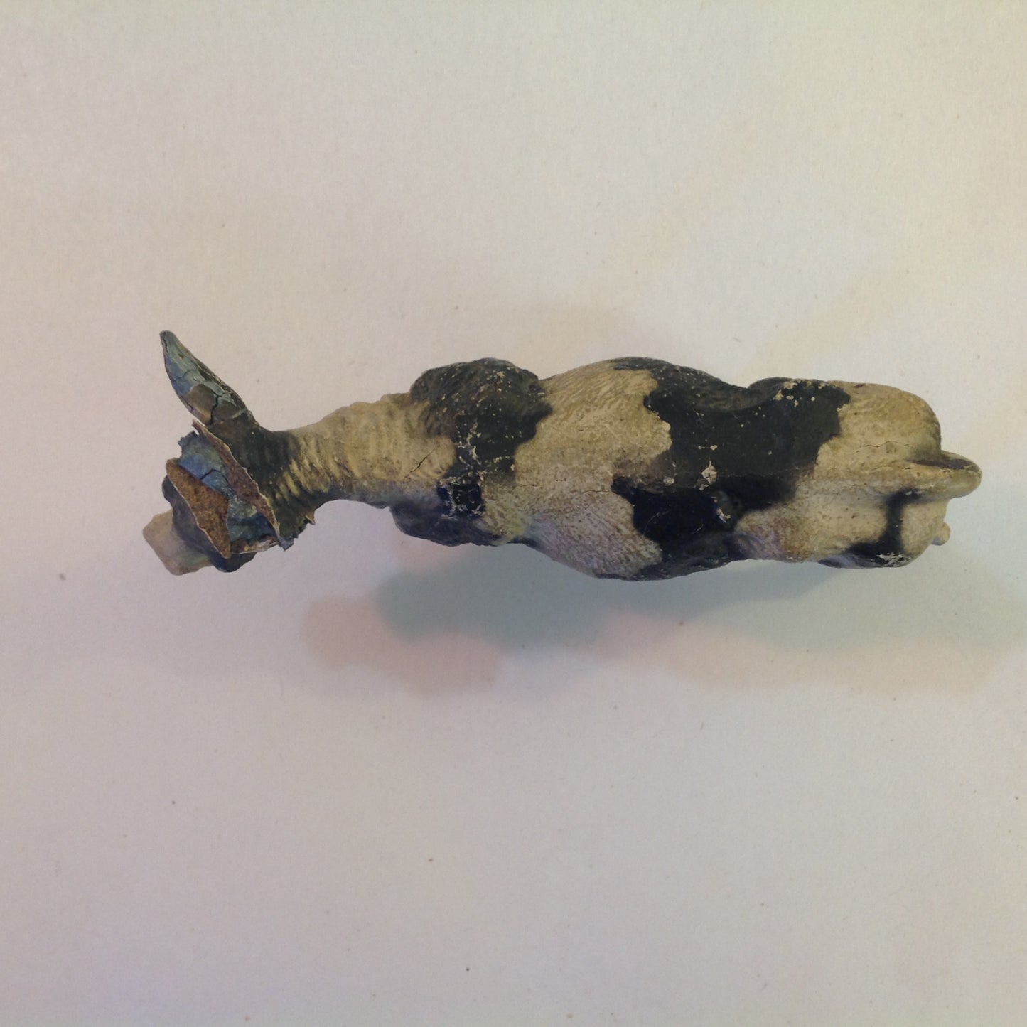 Vintage 1910's-20's Composite Circus Animal Figure Holstein Cow