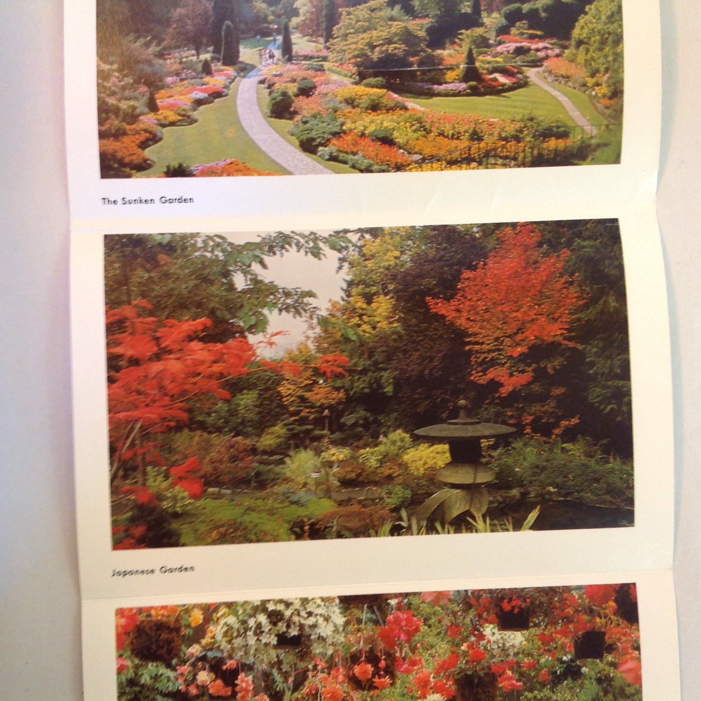 Vintage Mid Century Butchart Gardens British Columbia 16 Color Photo Souvenir Postcard Album