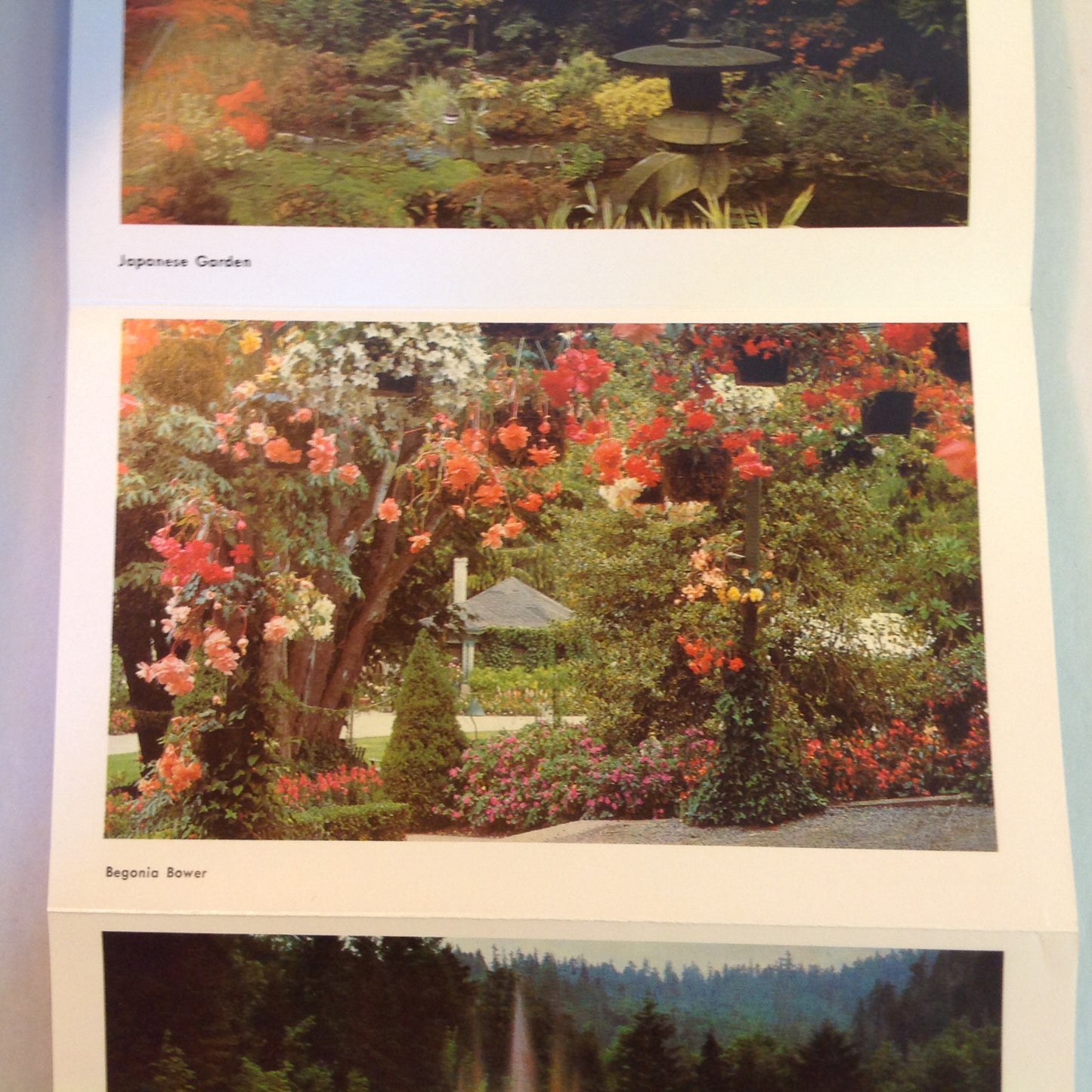 Vintage Mid Century Butchart Gardens British Columbia 16 Color Photo Souvenir Postcard Album
