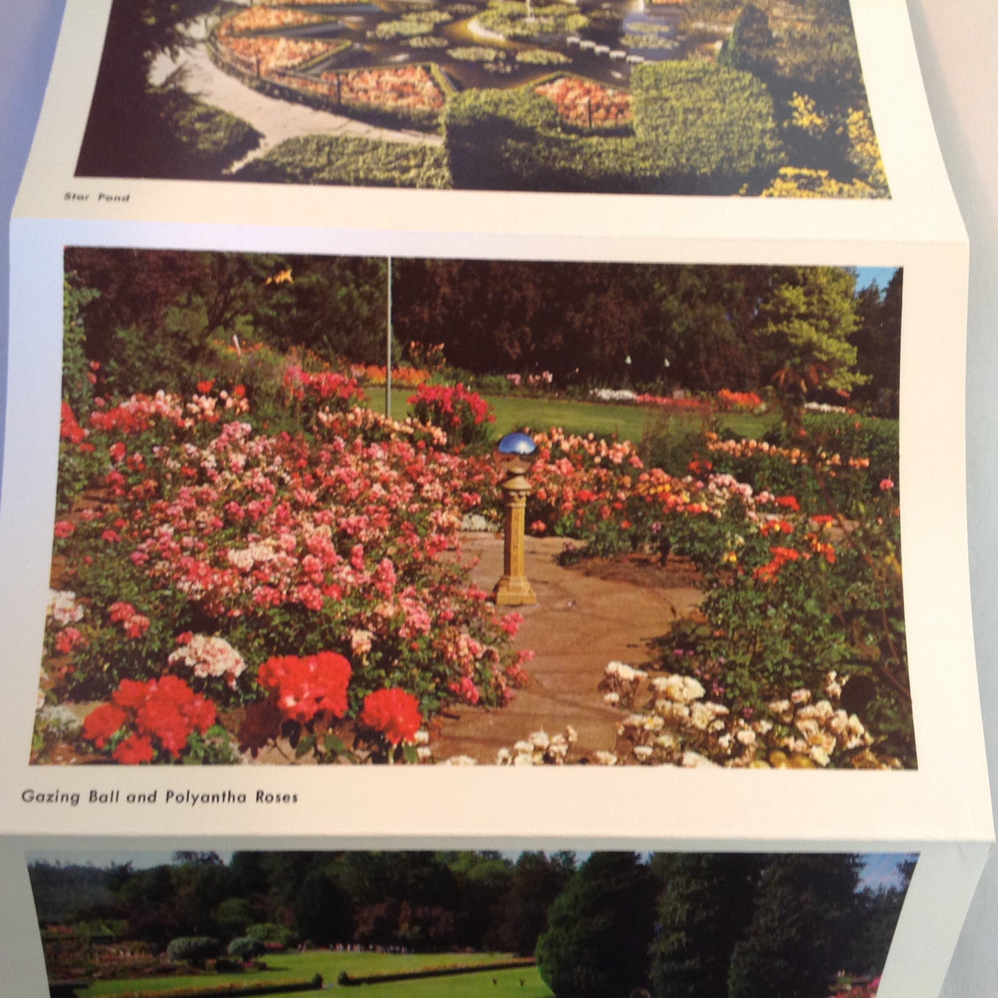 Vintage Mid Century Butchart Gardens British Columbia 16 Color Photo Souvenir Postcard Album