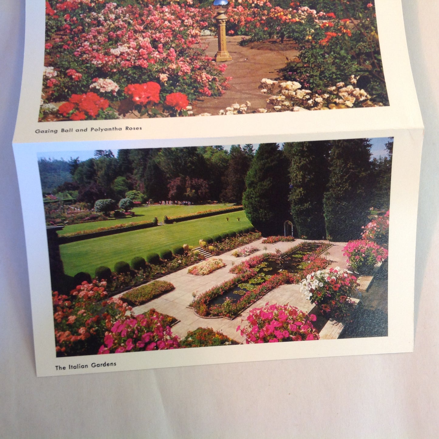 Vintage Mid Century Butchart Gardens British Columbia 16 Color Photo Souvenir Postcard Album
