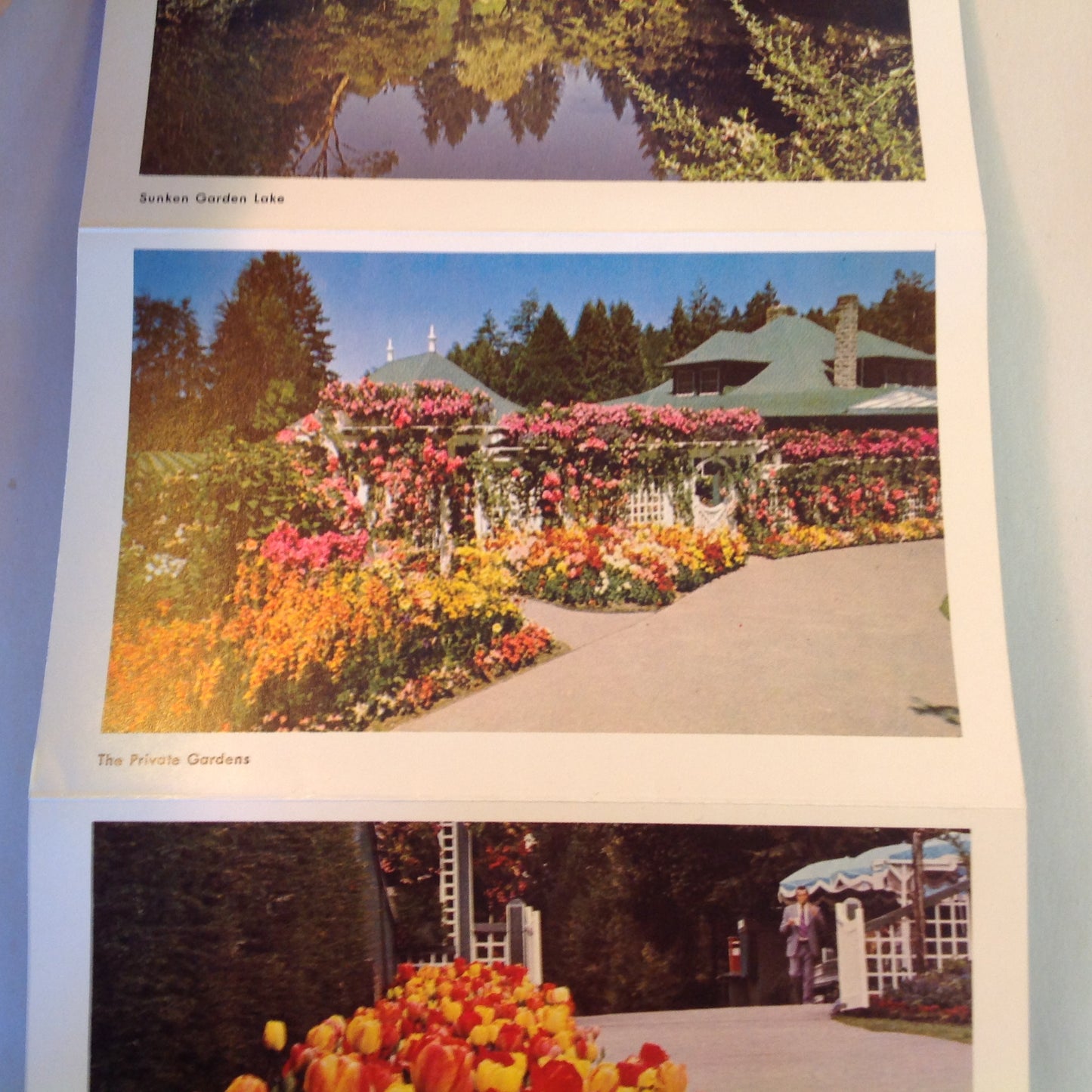 Vintage Mid Century Butchart Gardens British Columbia 16 Color Photo Souvenir Postcard Album
