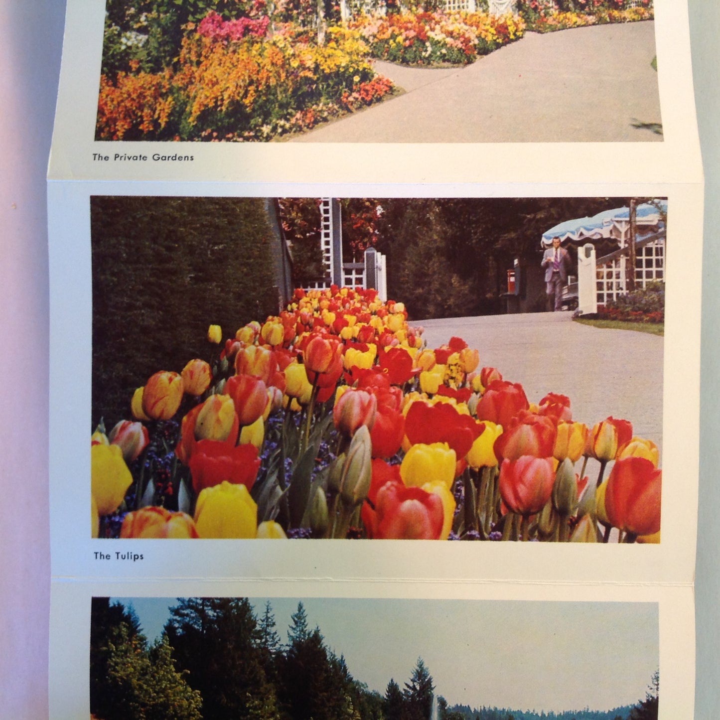 Vintage Mid Century Butchart Gardens British Columbia 16 Color Photo Souvenir Postcard Album