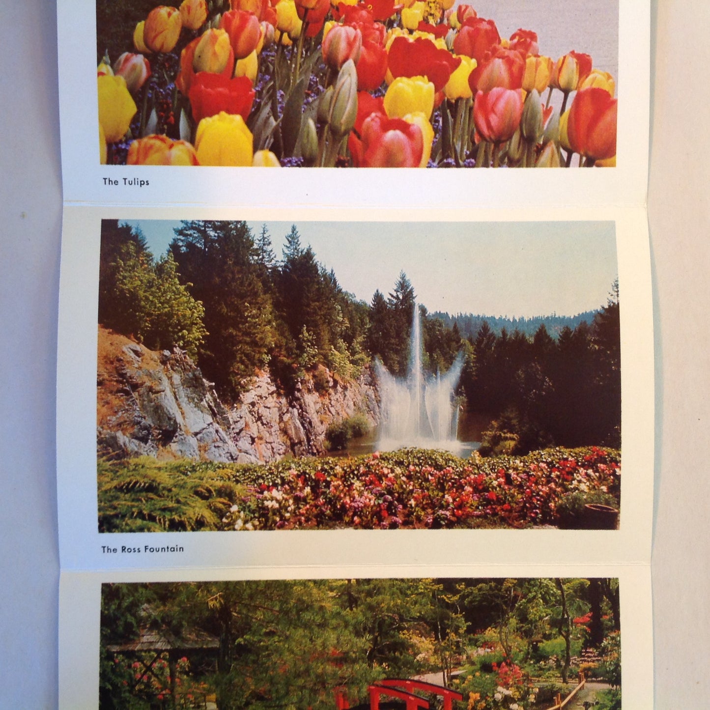 Vintage Mid Century Butchart Gardens British Columbia 16 Color Photo Souvenir Postcard Album