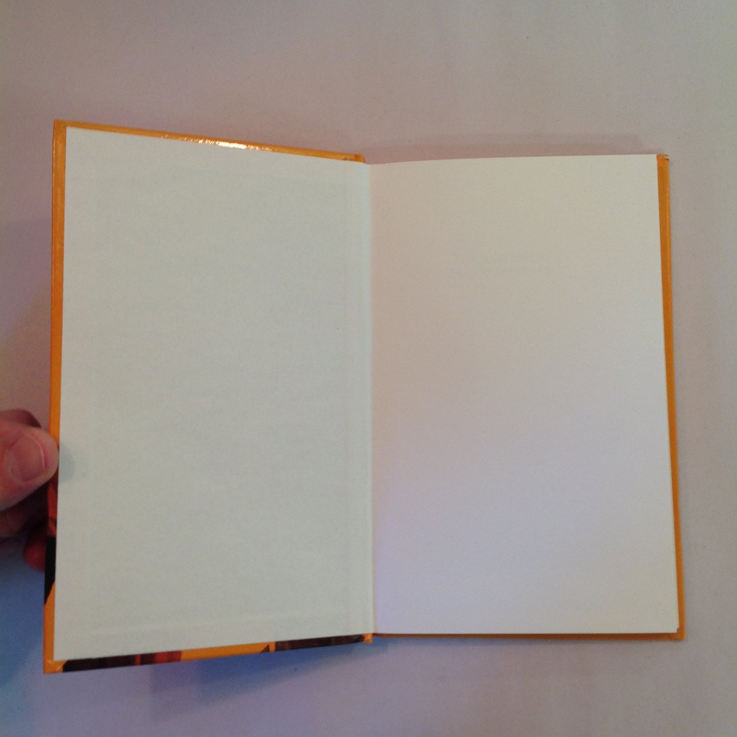 Vintage 1983 Hardcover Doctor Who: Arc of Infinity Terrance Dicks