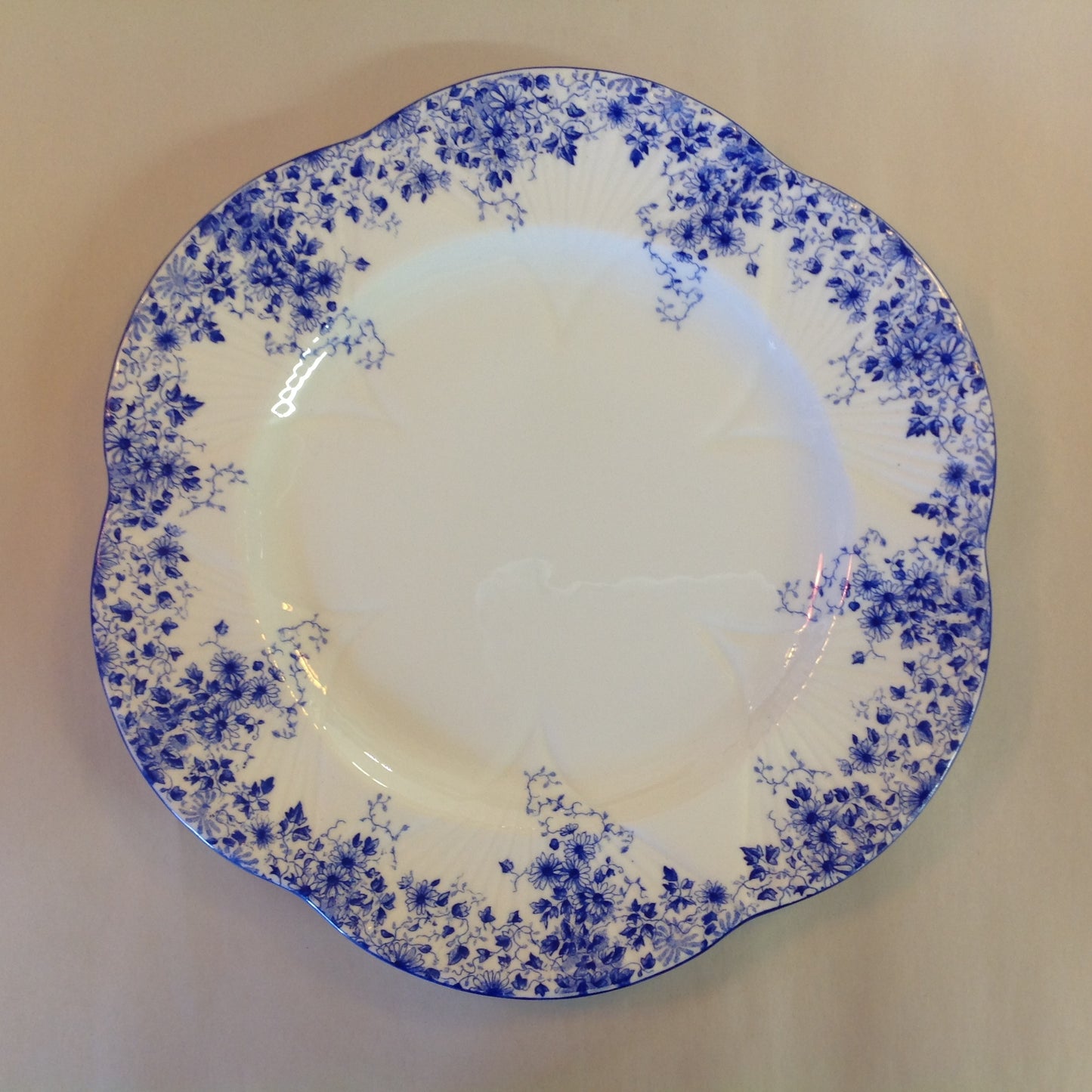 Antique Shelley Dainty Blue Fine Bone China Dinner Plate