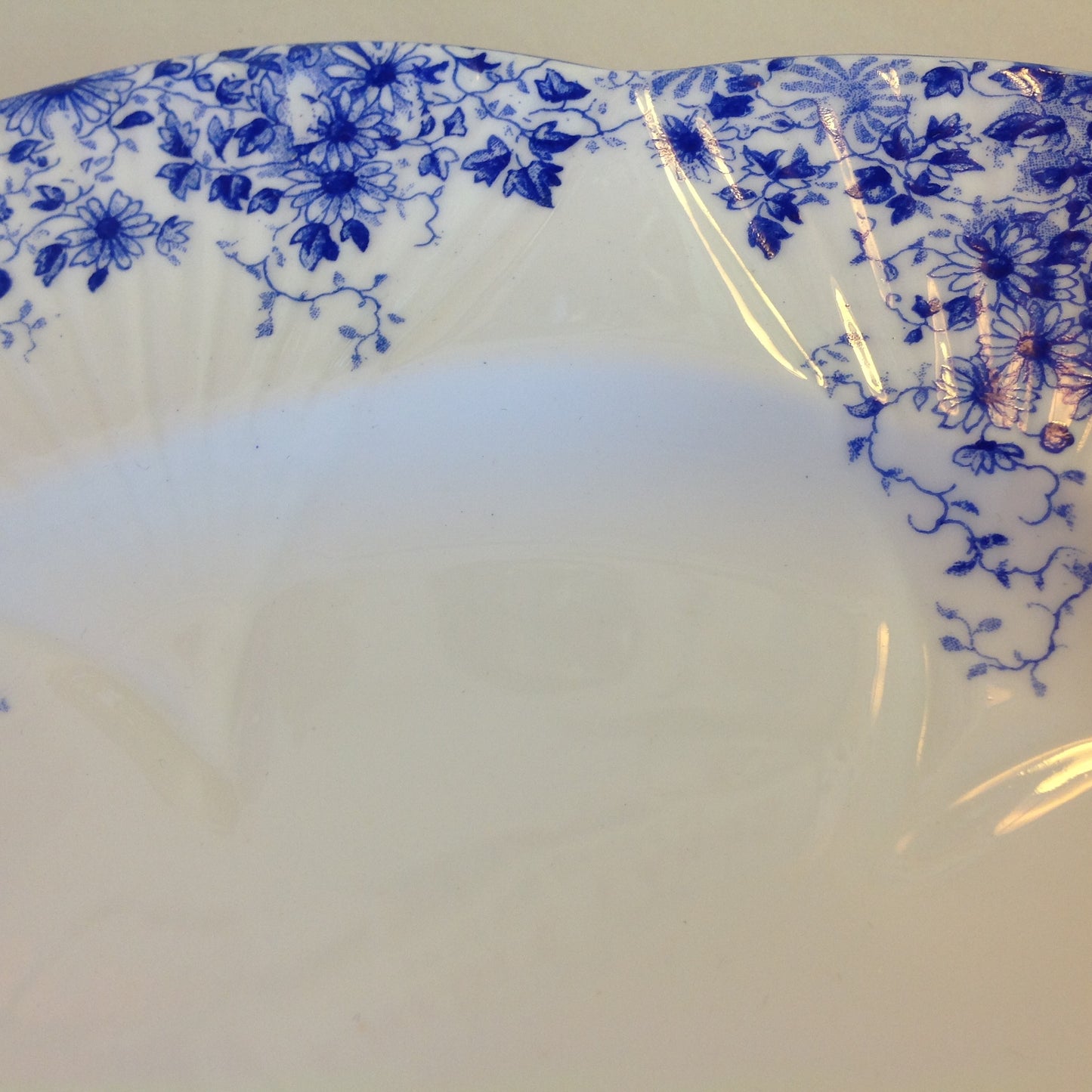 Antique Shelley Dainty Blue Fine Bone China Dinner Plate