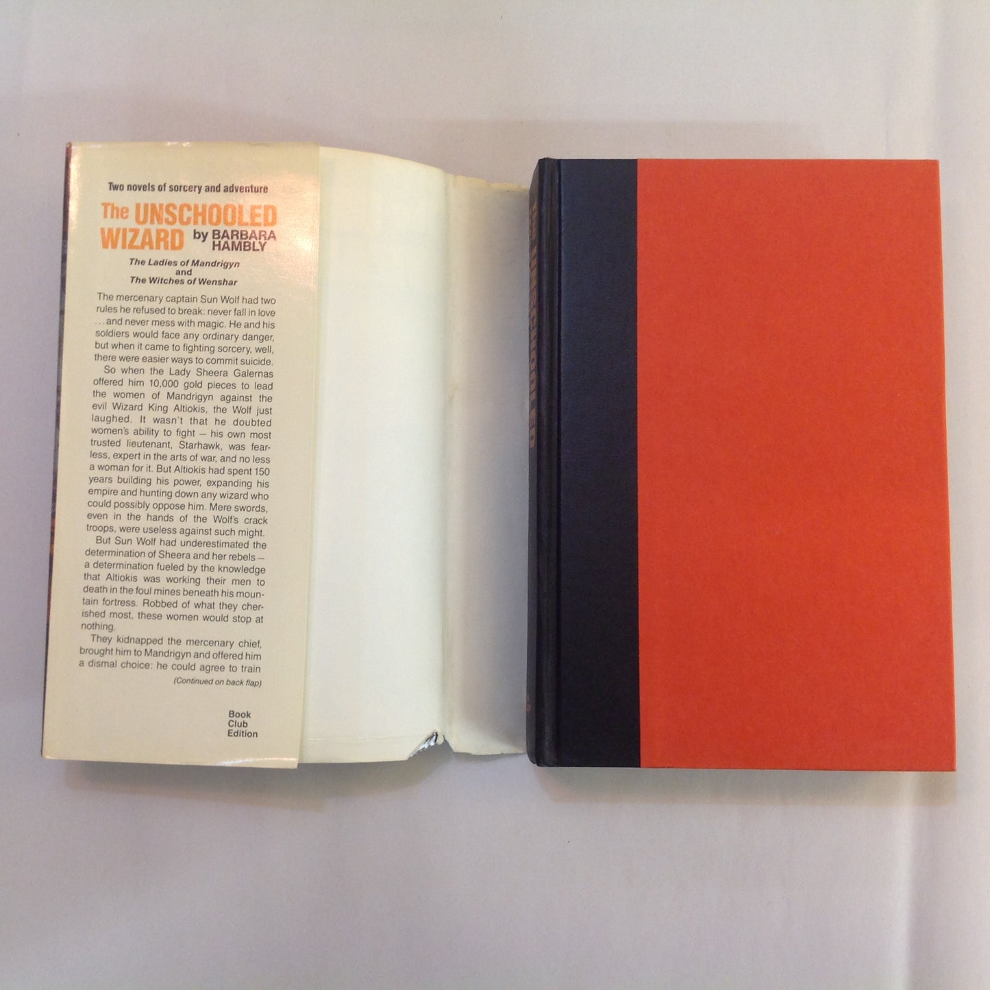 Vintage 1987 Hardcover The Unschooled Wizard Barbara Hambly Book Club Edition