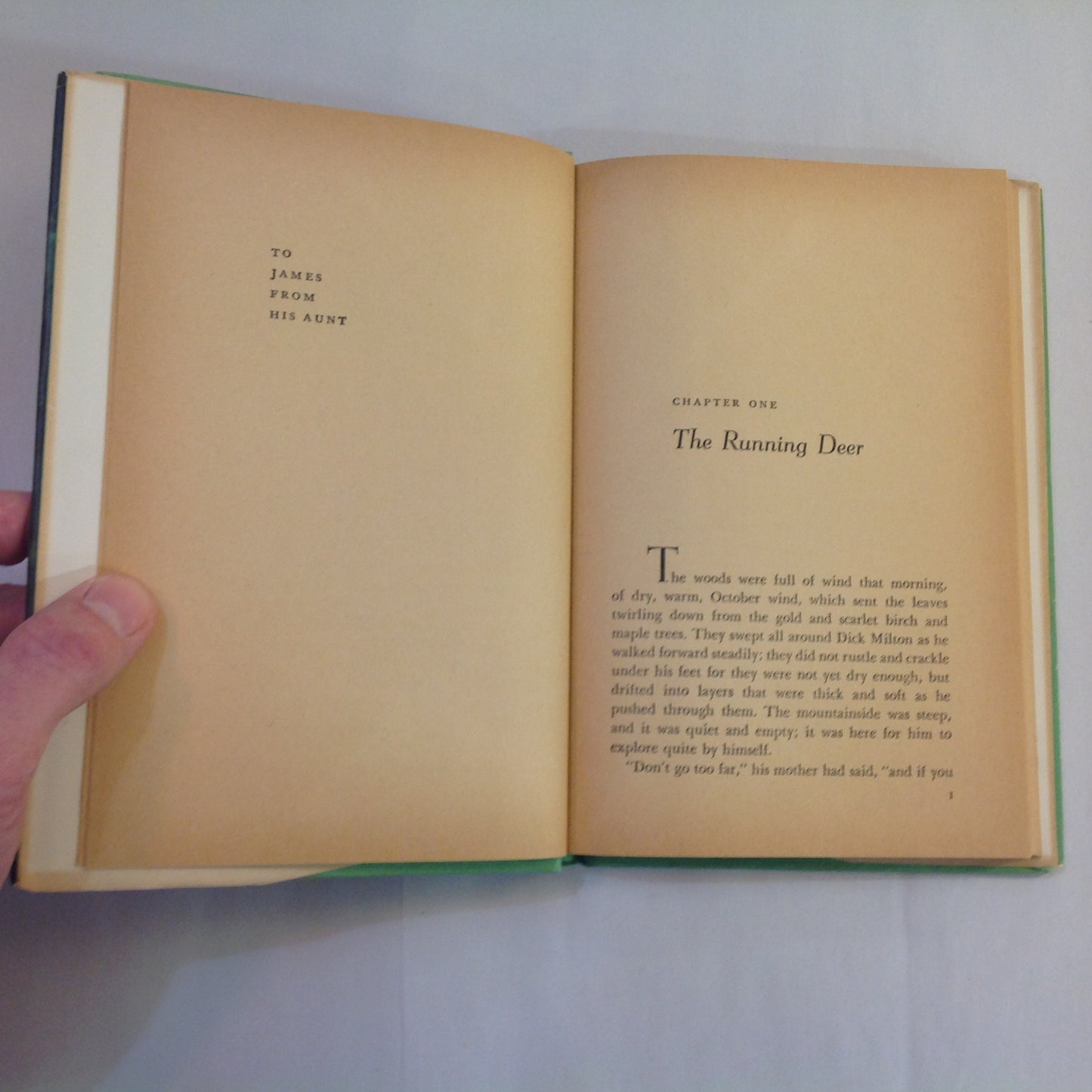 Vintage 1957 Hardcover Wild Geese Flying Cornelia Meigs Charles Greer Weekly Reader Children's Book Club edition