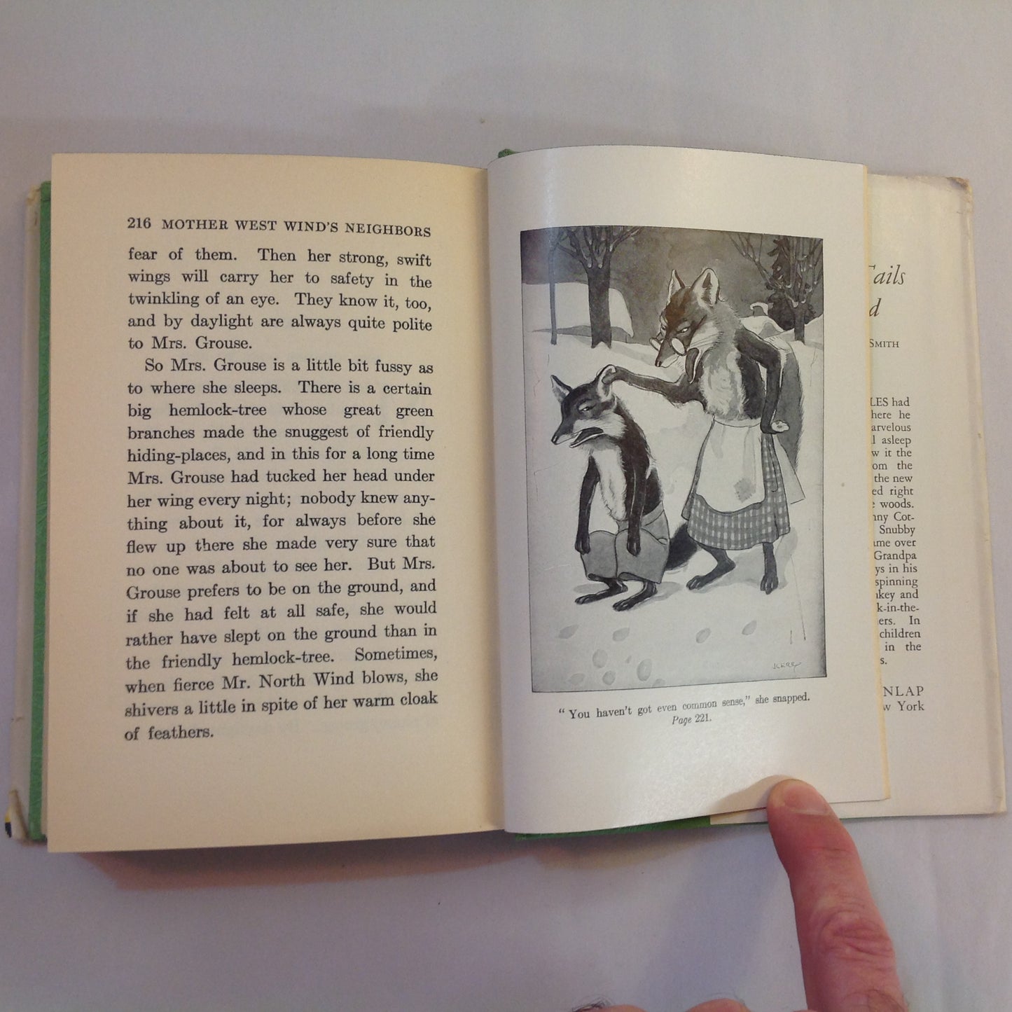 Antique 1913 Hardcover Mother West Wind's Neighbors Thornton W. Burgess Grosset & Dunlap First