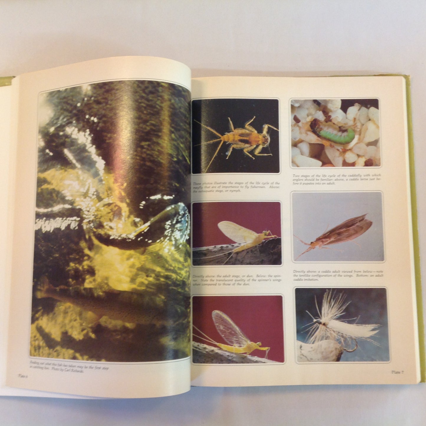 Vintage 1978 Hardcover Fly Fisherman's Complete Guide to Fishing with Fly Rod