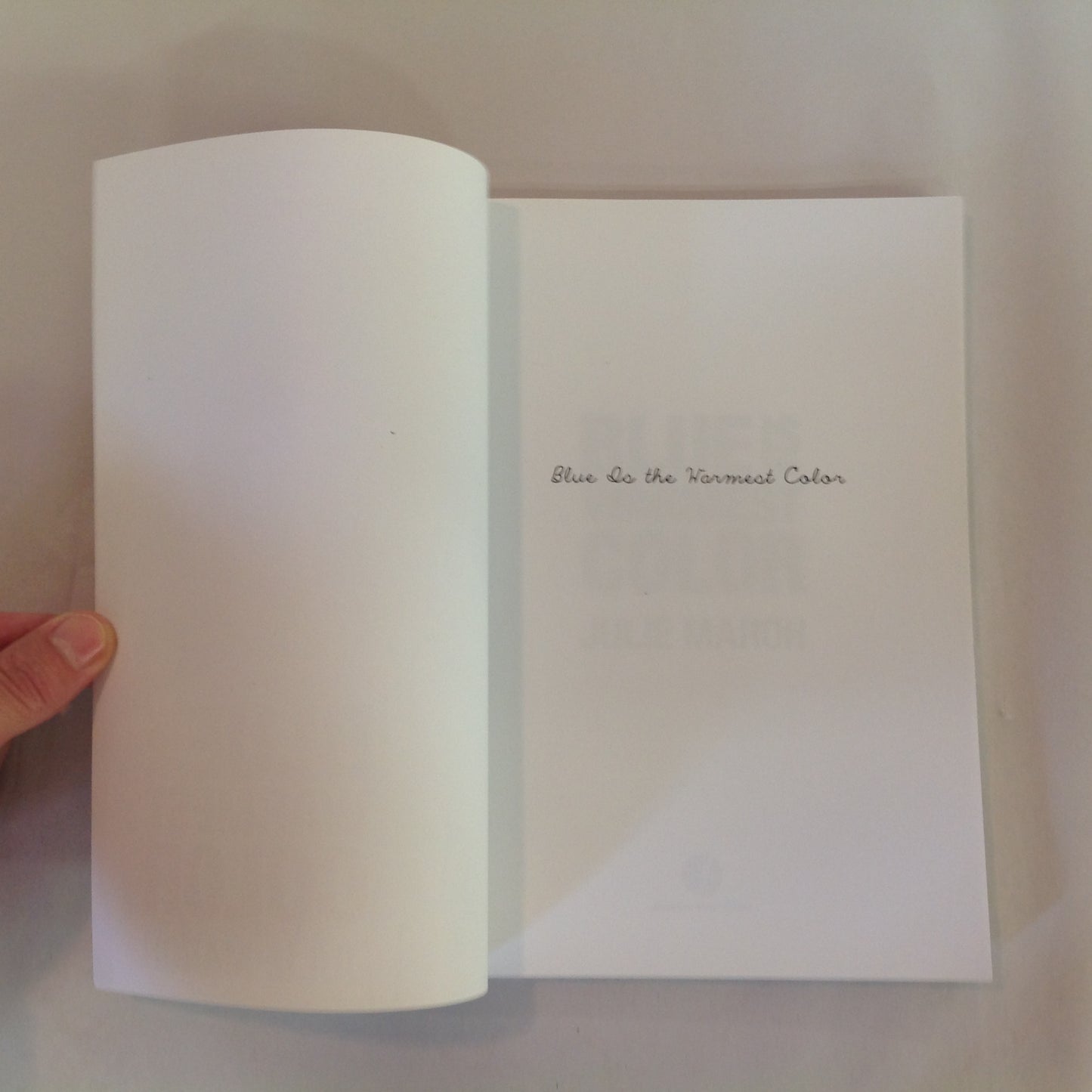 2014 Trade Paperback Blue is the Warmest Color Julie Maroh Graphic Novel
