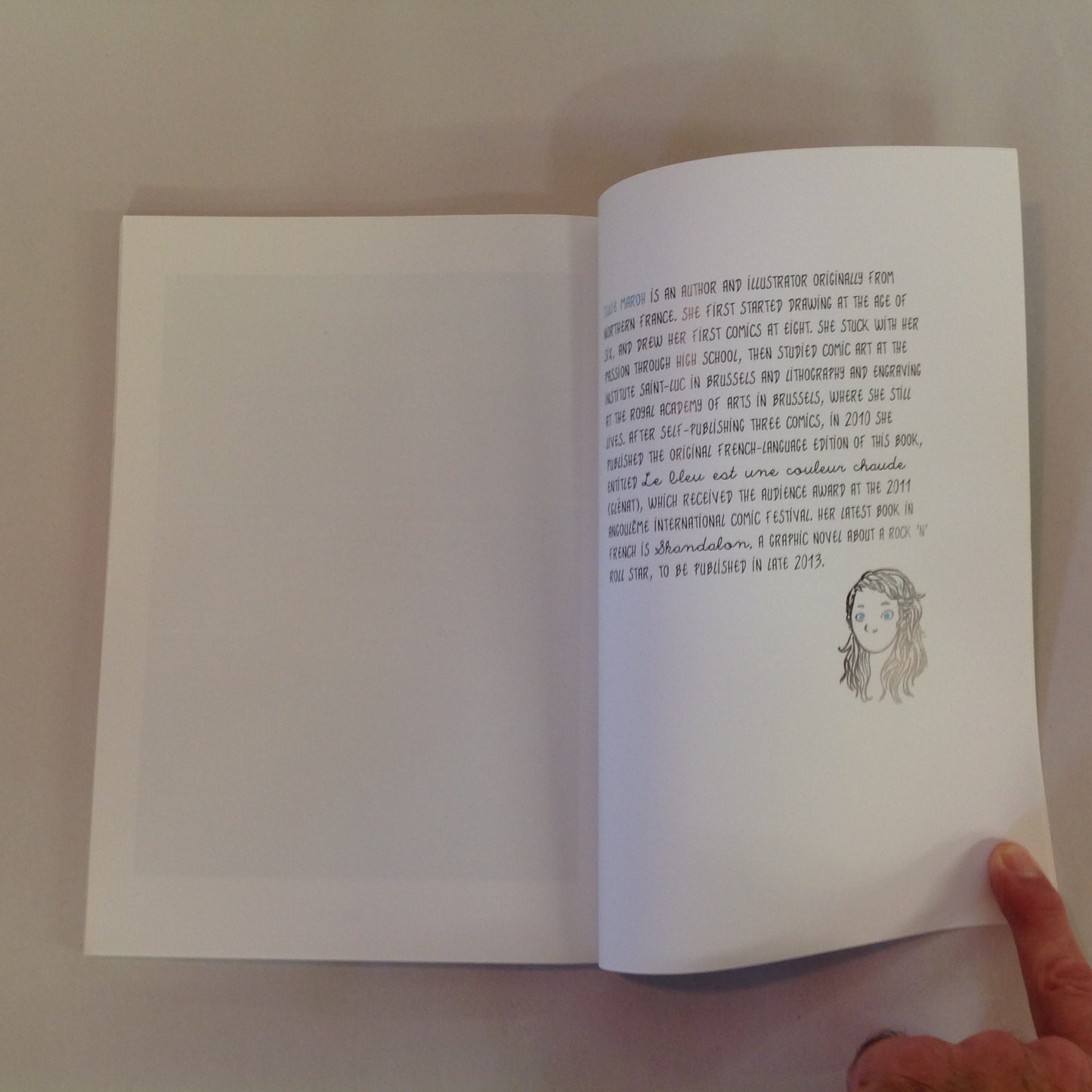 2014 Trade Paperback Blue is the Warmest Color Julie Maroh Graphic Novel