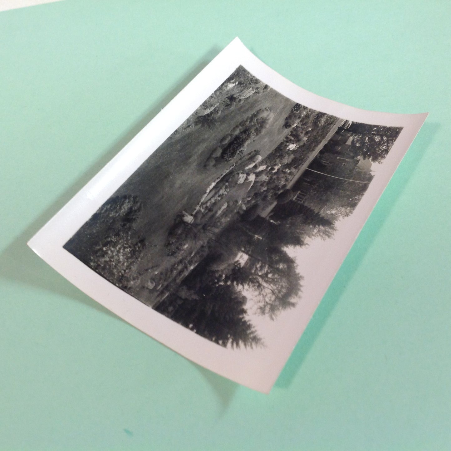 Vintage Mid Century B&W Photo Holland Michigan Tulip Festival Idyllic Garden
