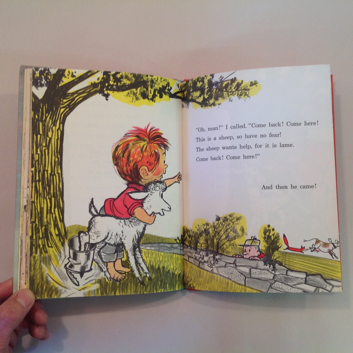 Vintage 1958 Children's Hardcover A FLY WENT BY Mike McClintock Fritz Siebel Dr. Seuss Book Club Ed