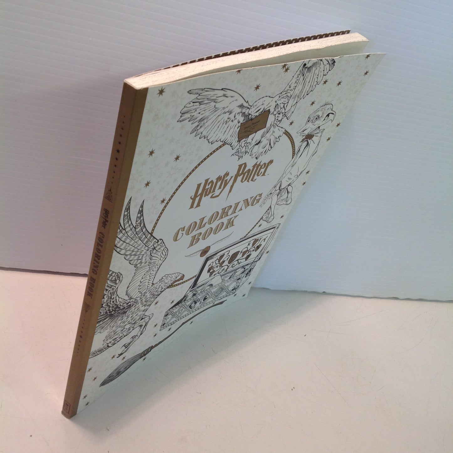 2015 Scholastic/Insight Editions Trade Paperback Harry Potter Coloring Book