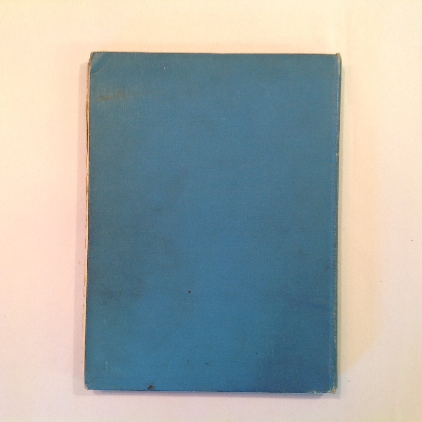 Antique 1906 Children's Hardcover Me An' Teddy LeRoy Hooker Will Garqueville First Edition