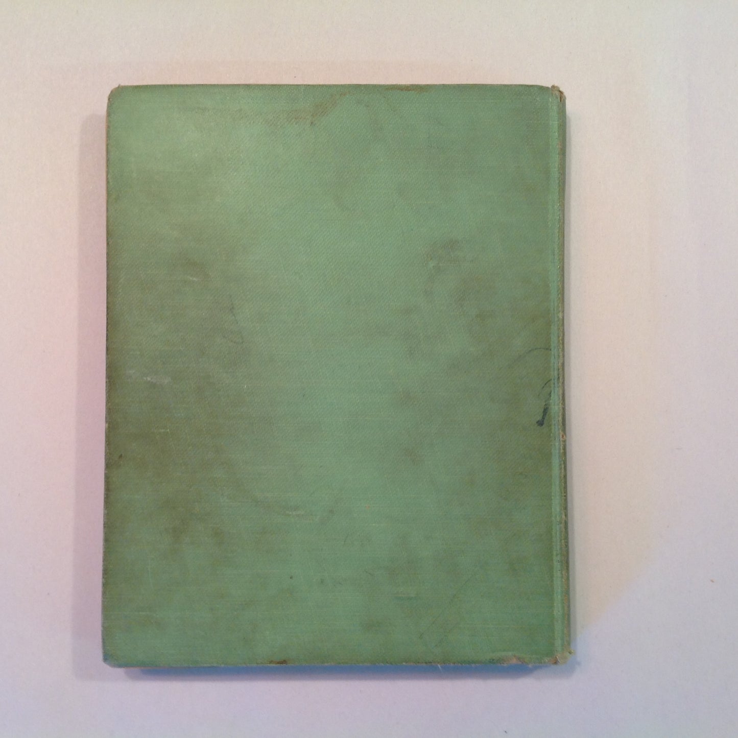 Vintage 1924 Children's Hardcover The Fairy Babies Laura Rountree Smith