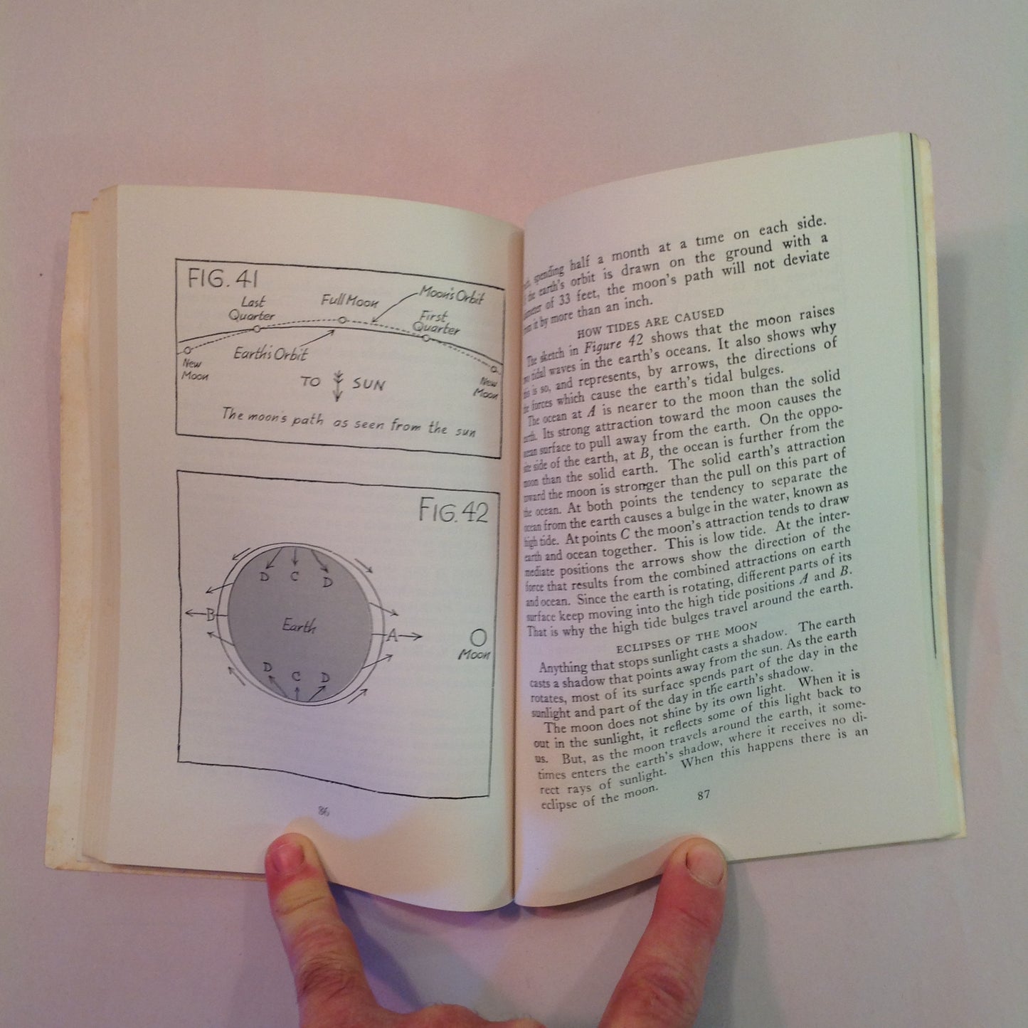 Vintage 1965 Beginner's Guide to Astronomy Discover the STARS How to Use the Telescope Johnson and Adler