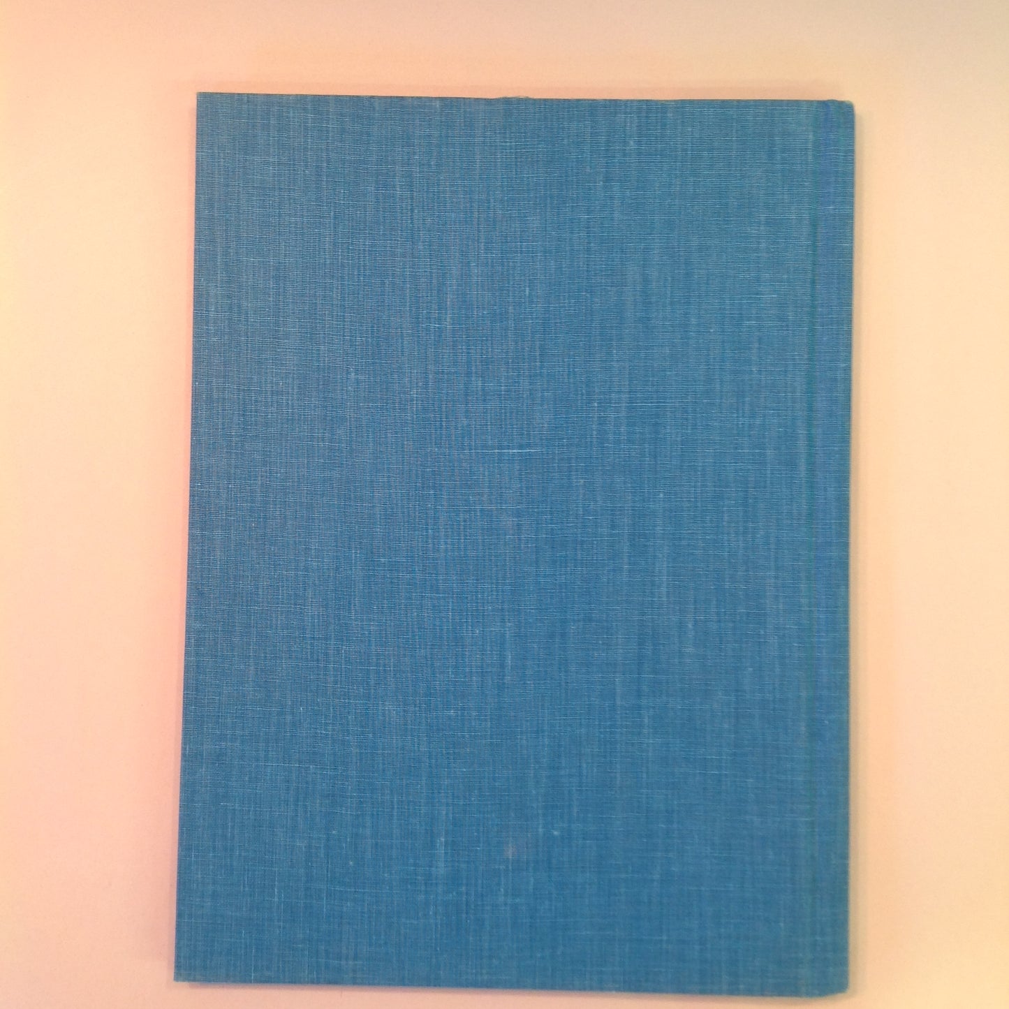 Vintage 1977 Children's Hardcover Picture Book NOEL THE COWARD Robert Kraus Jose Aruego Ariane Dewey