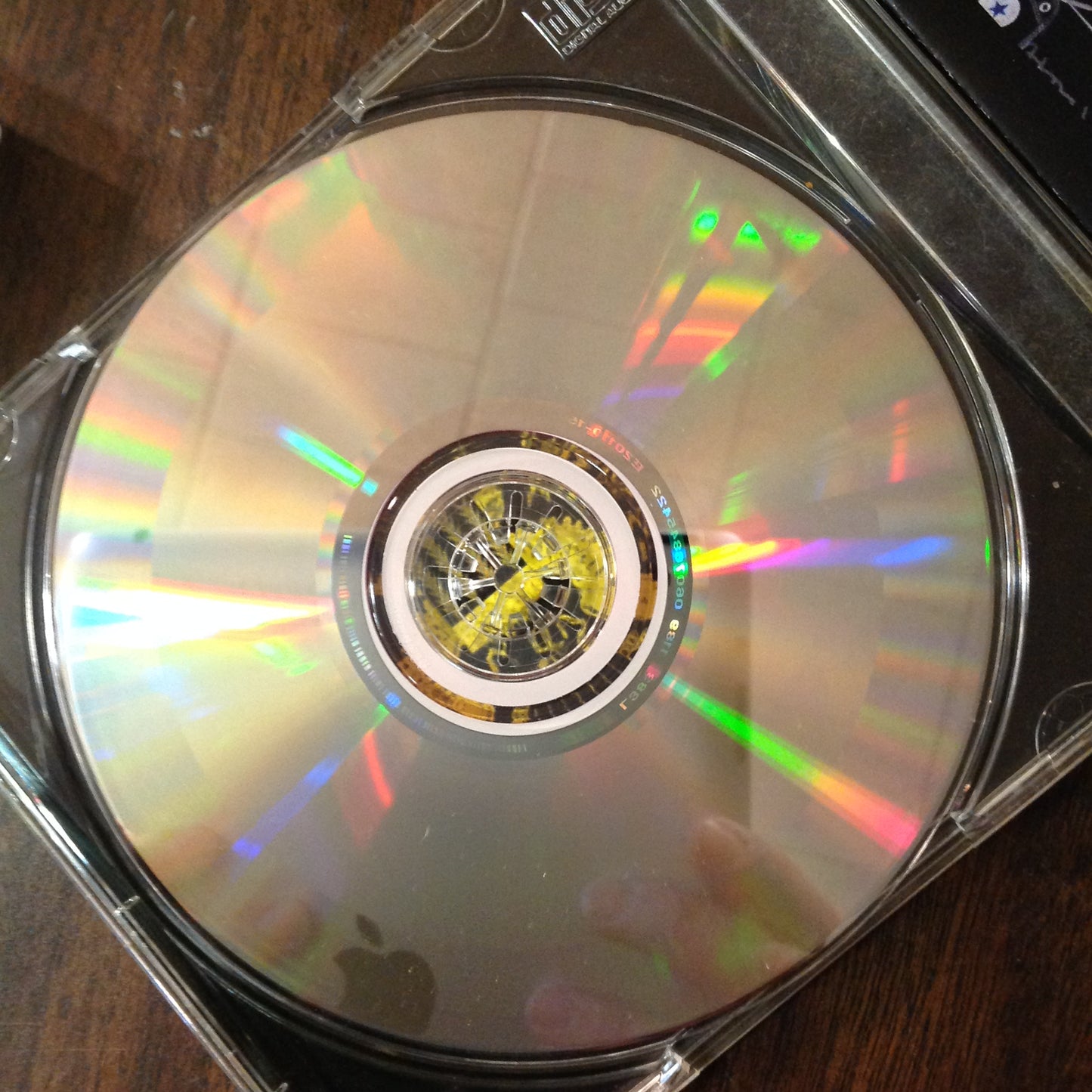 CD Joey Ramone Don't Worry About Me Rock & Roll Punk Sanctuary